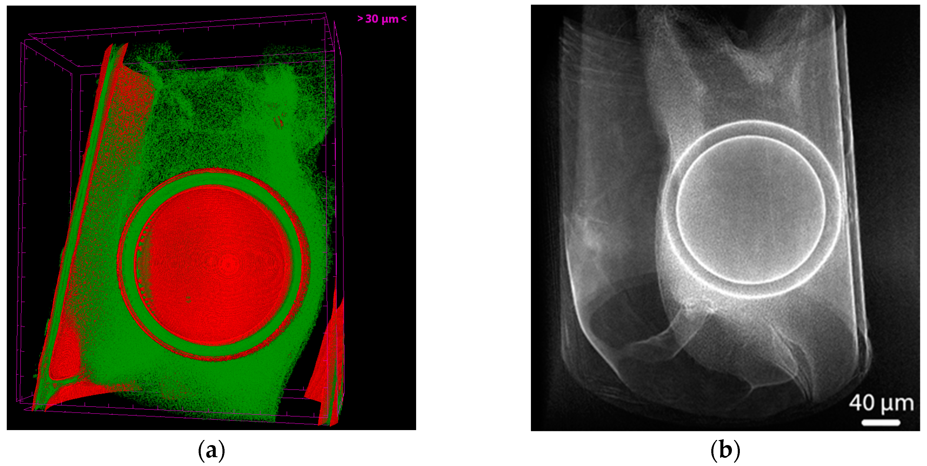 Photonics 10 00875 g002 Photonics 10 00875 g002