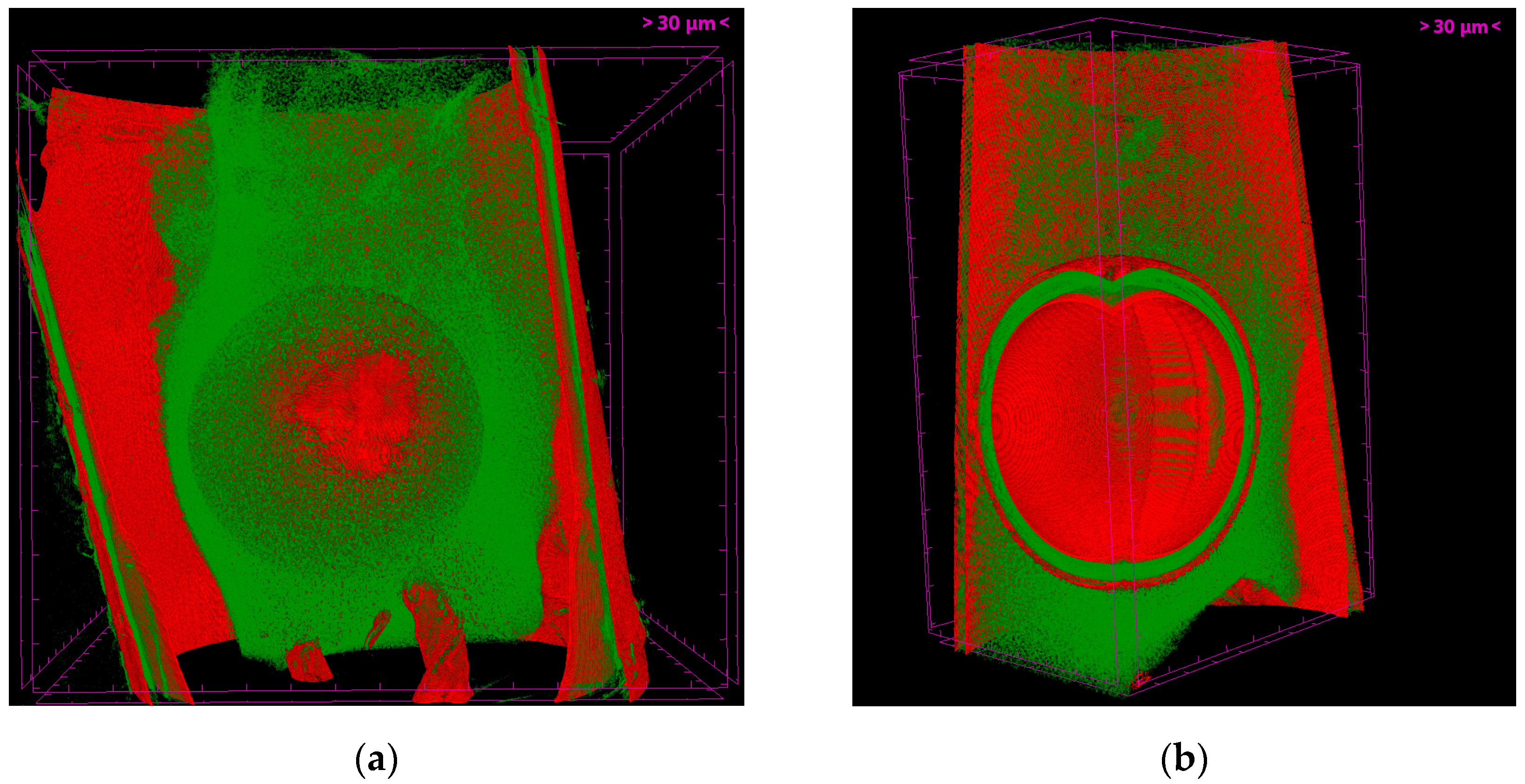 Photonics 10 00875 g004 Photonics 10 00875 g004