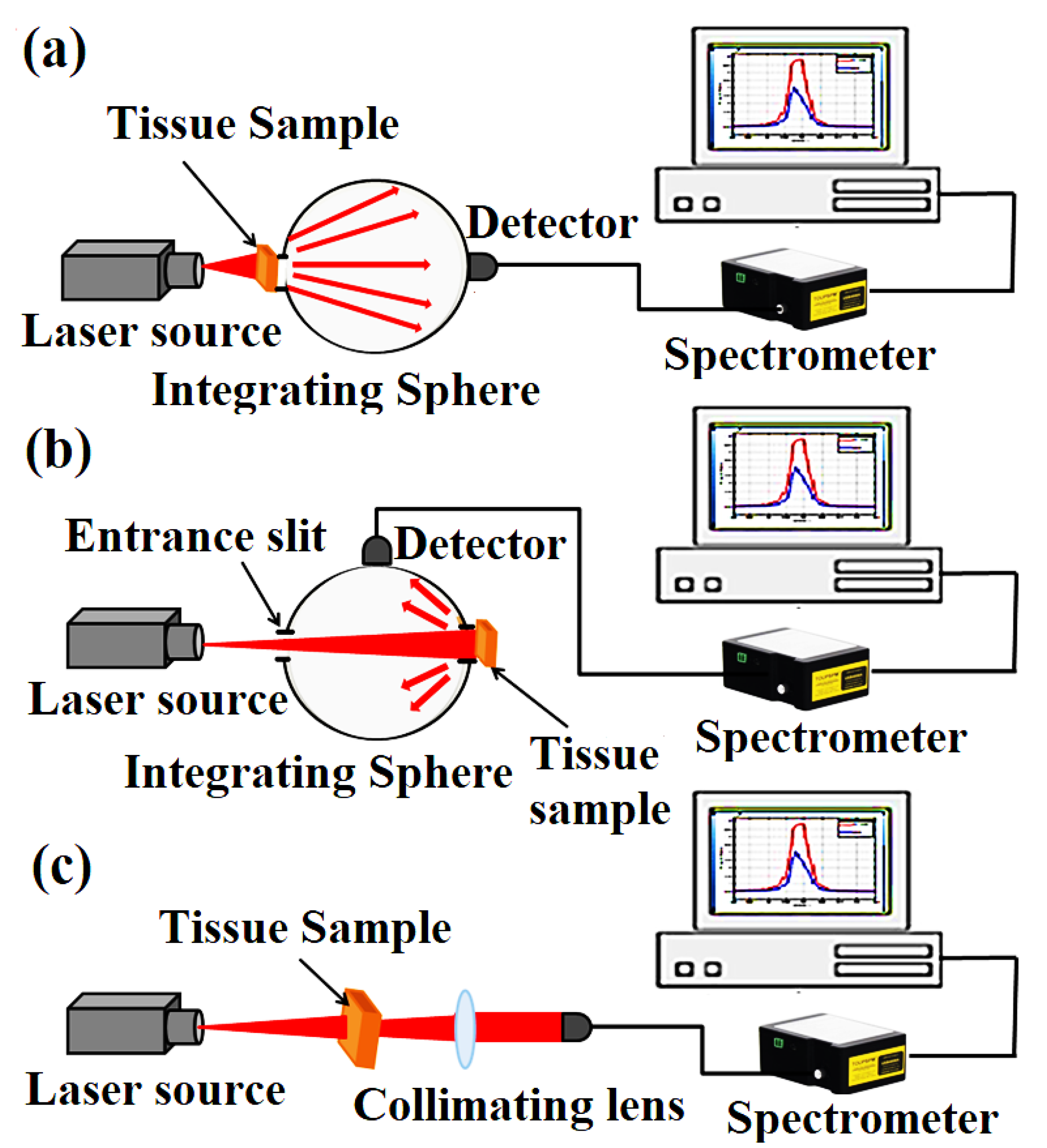 Photonics 10 00891 g001 Photonics 10 00891 g001