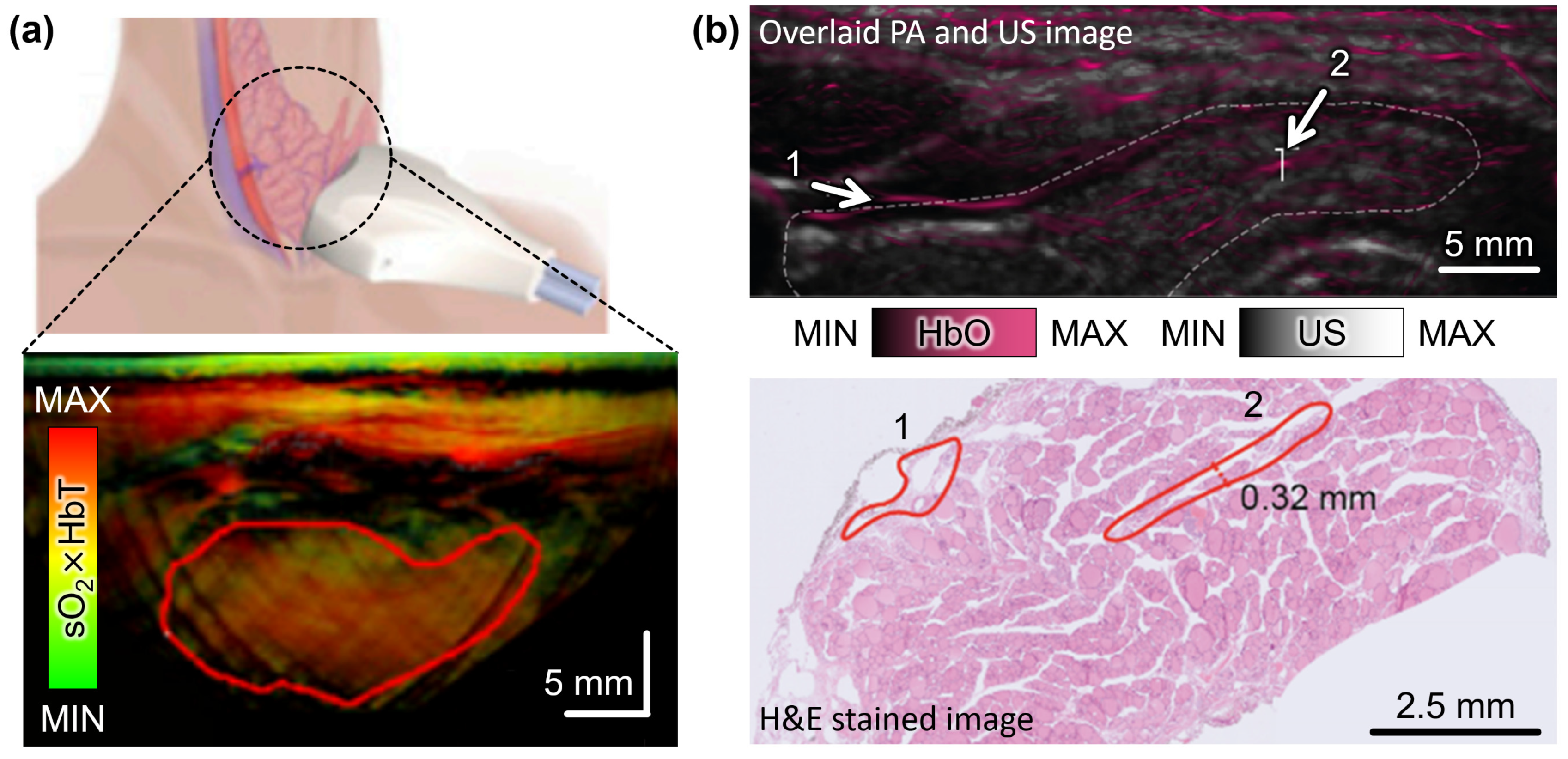 Photonics 10 00904 g001 Photonics 10 00904 g001