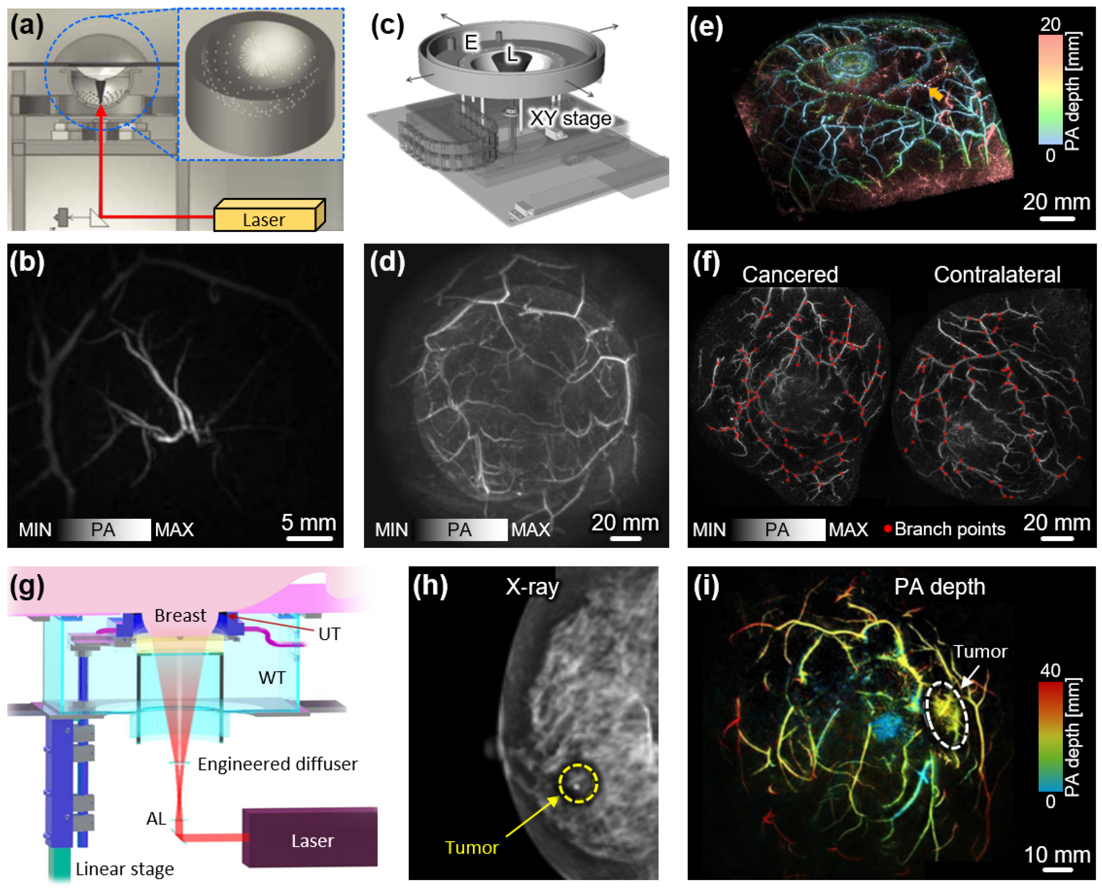 Photonics 10 00904 g006 Photonics 10 00904 g006