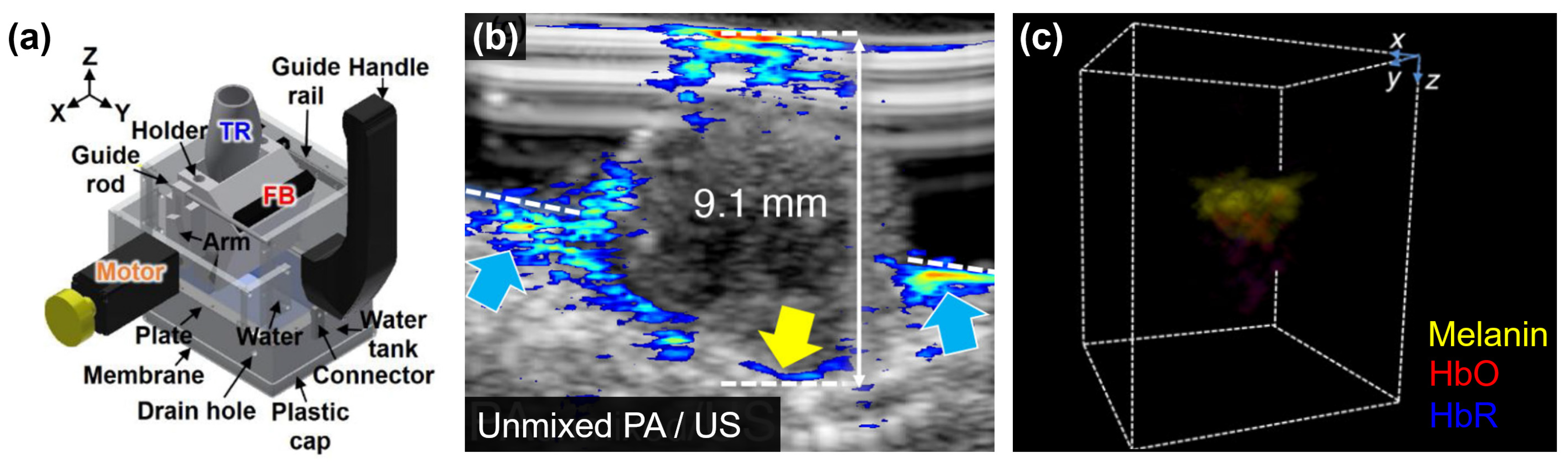 Photonics 10 00904 g007 Photonics 10 00904 g007