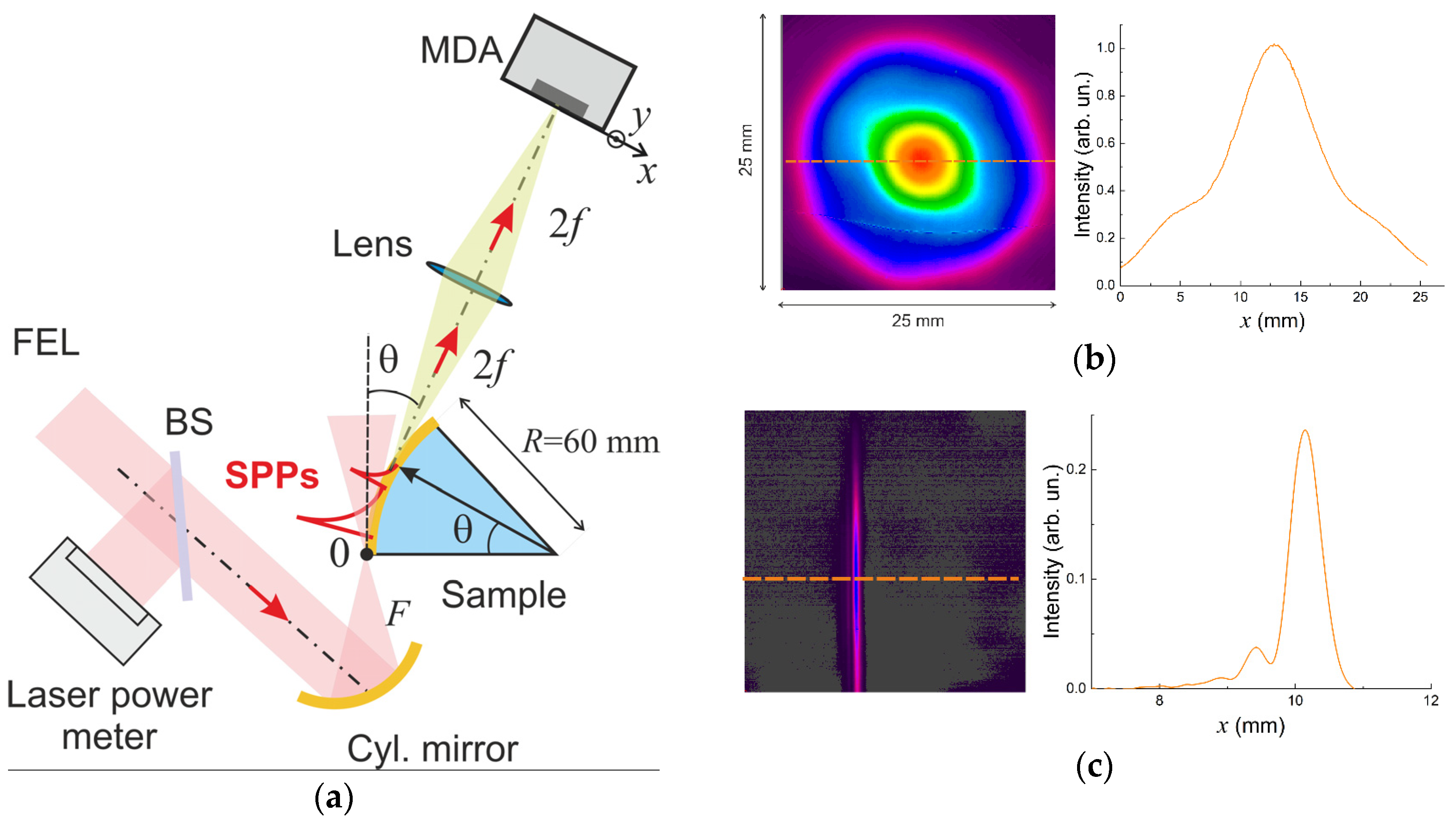 Photonics 10 00917 g005