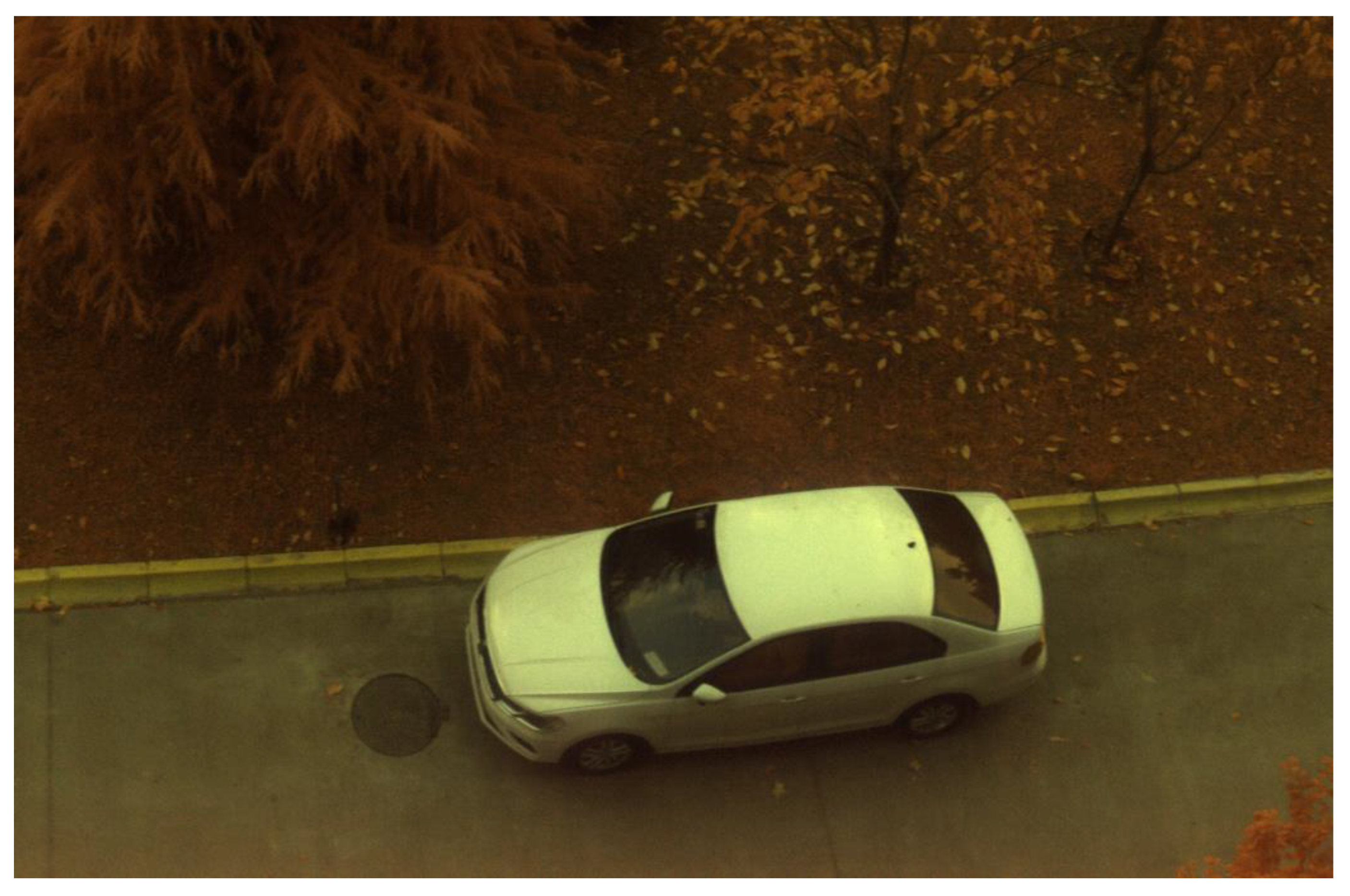 Photonics 10 00950 g015