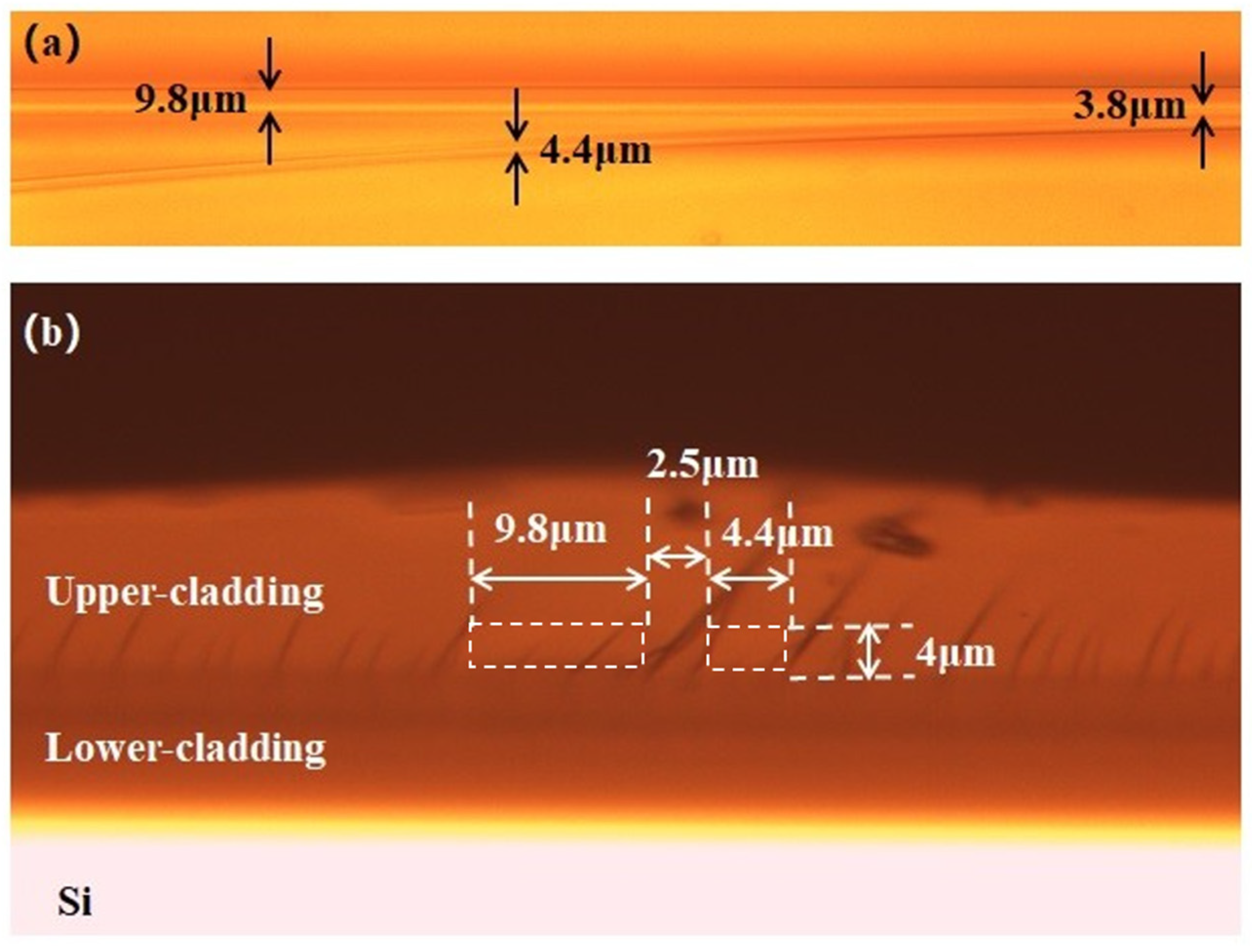 Photonics 10 00983 g011