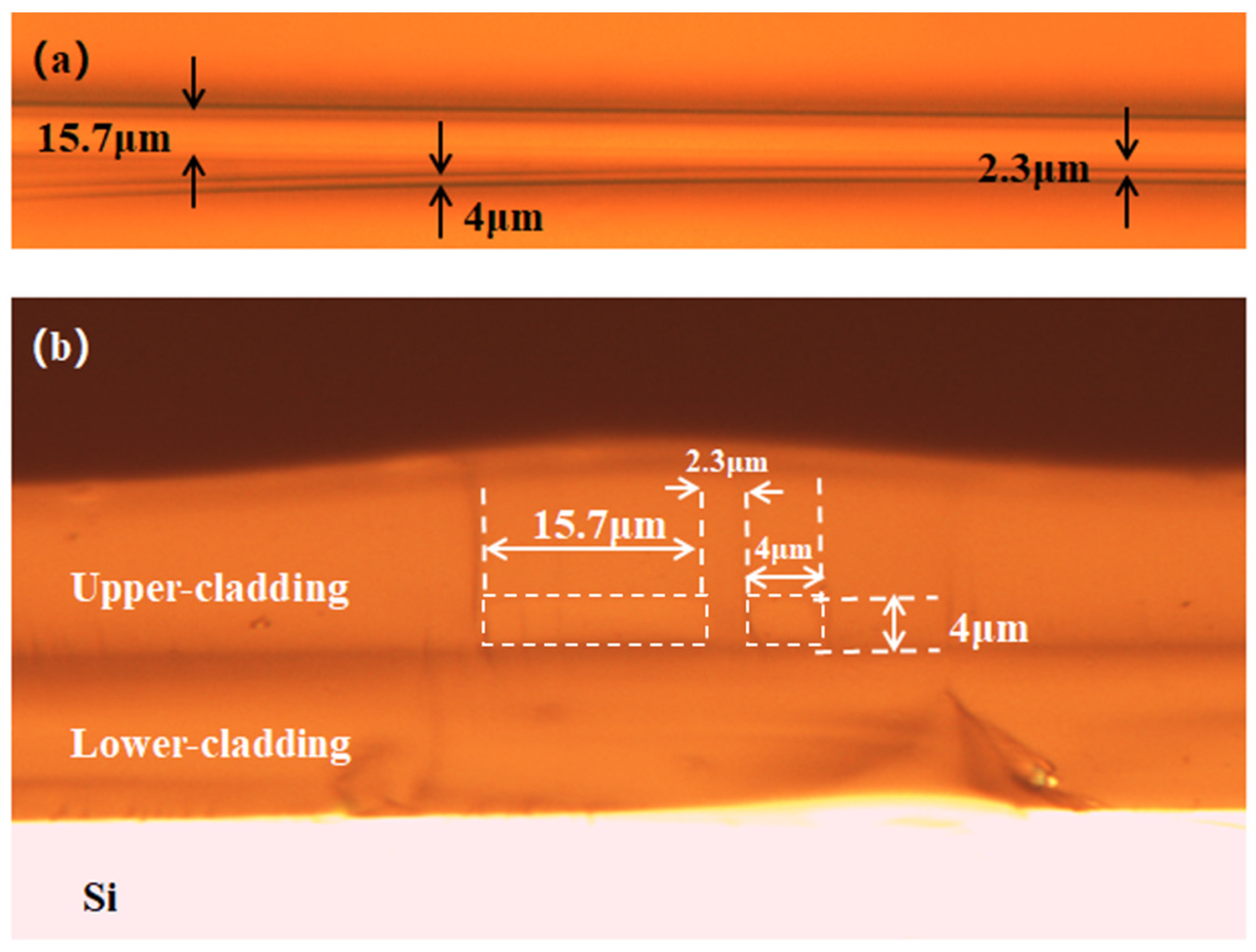 Photonics 10 00983 g012