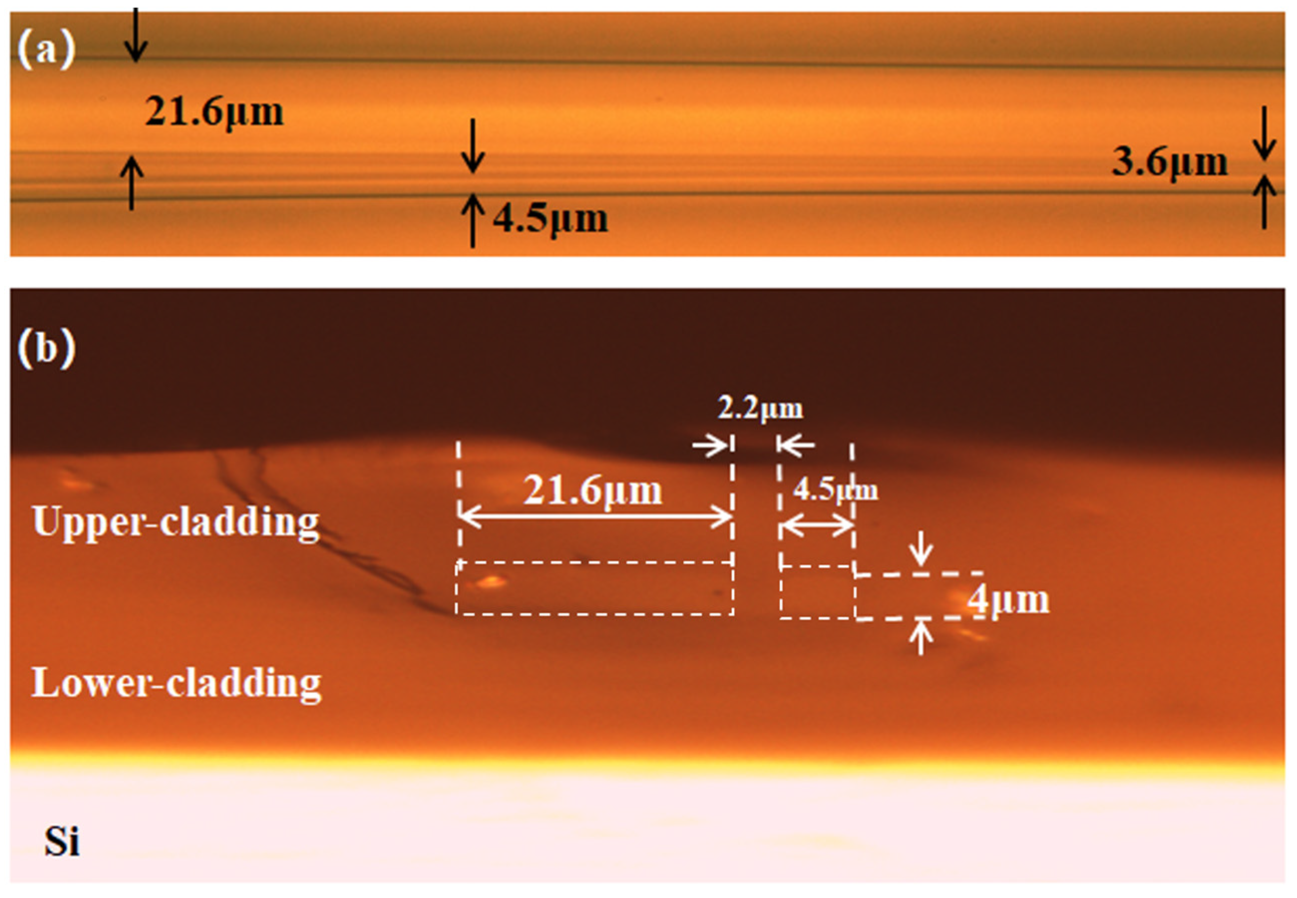 Photonics 10 00983 g013