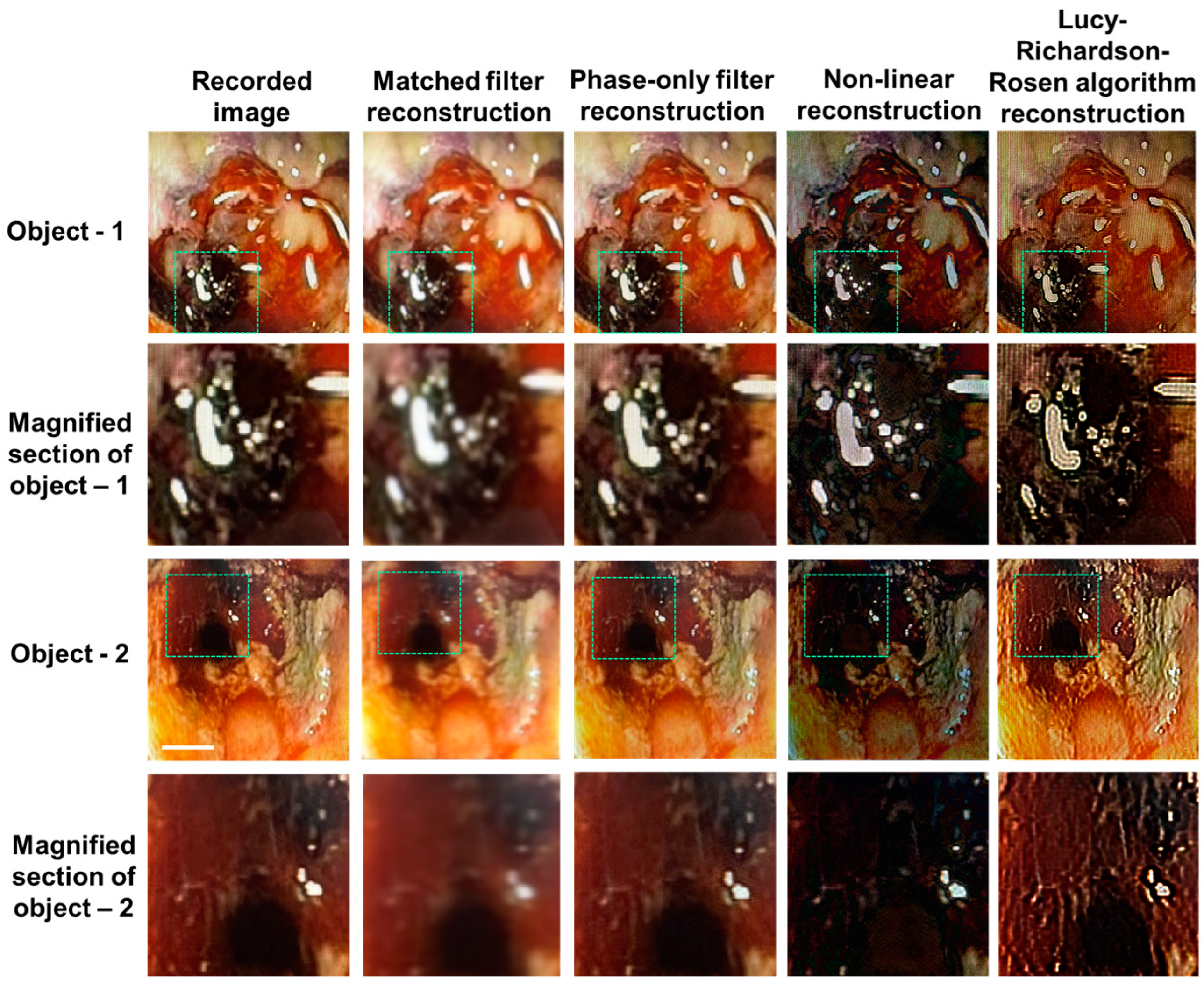 Photonics 10 00987 g010