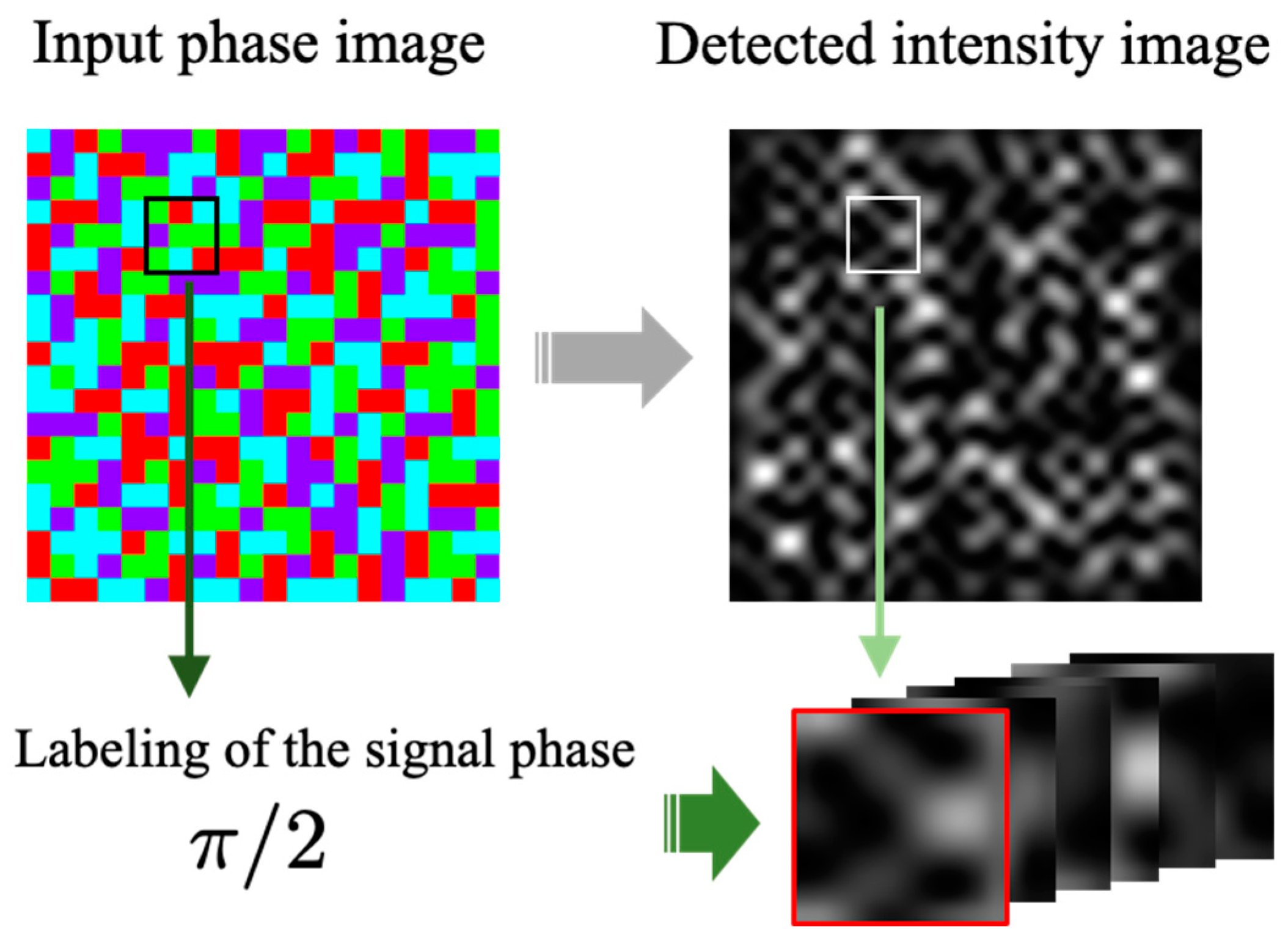 Photonics 10 01006 g002