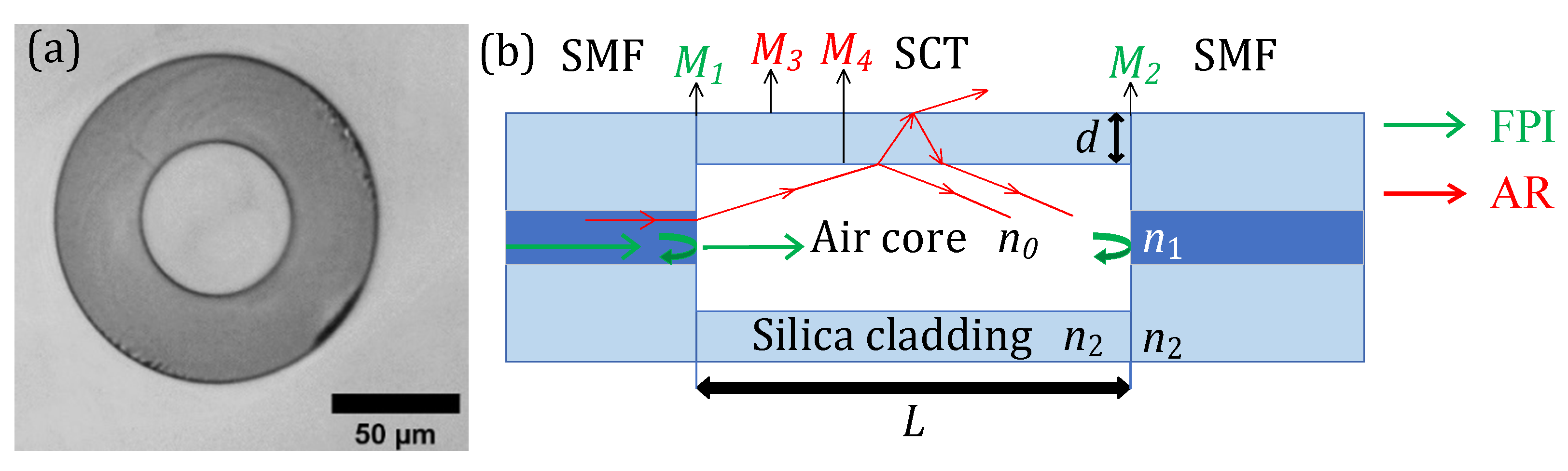 Photonics 10 01029 g001