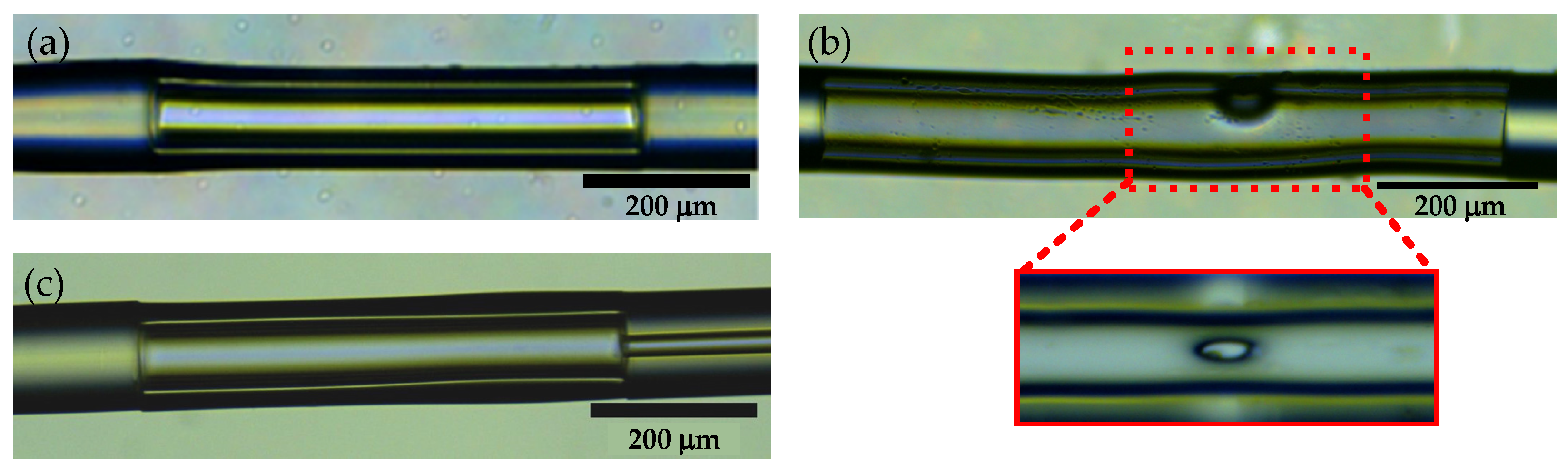 Photonics 10 01029 g006