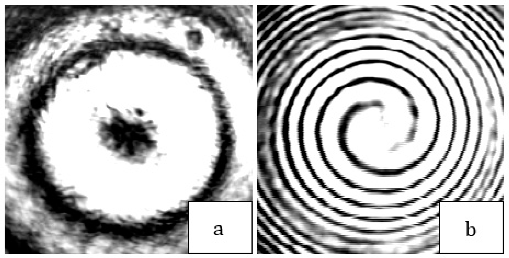 Photonics 10 01044 g010