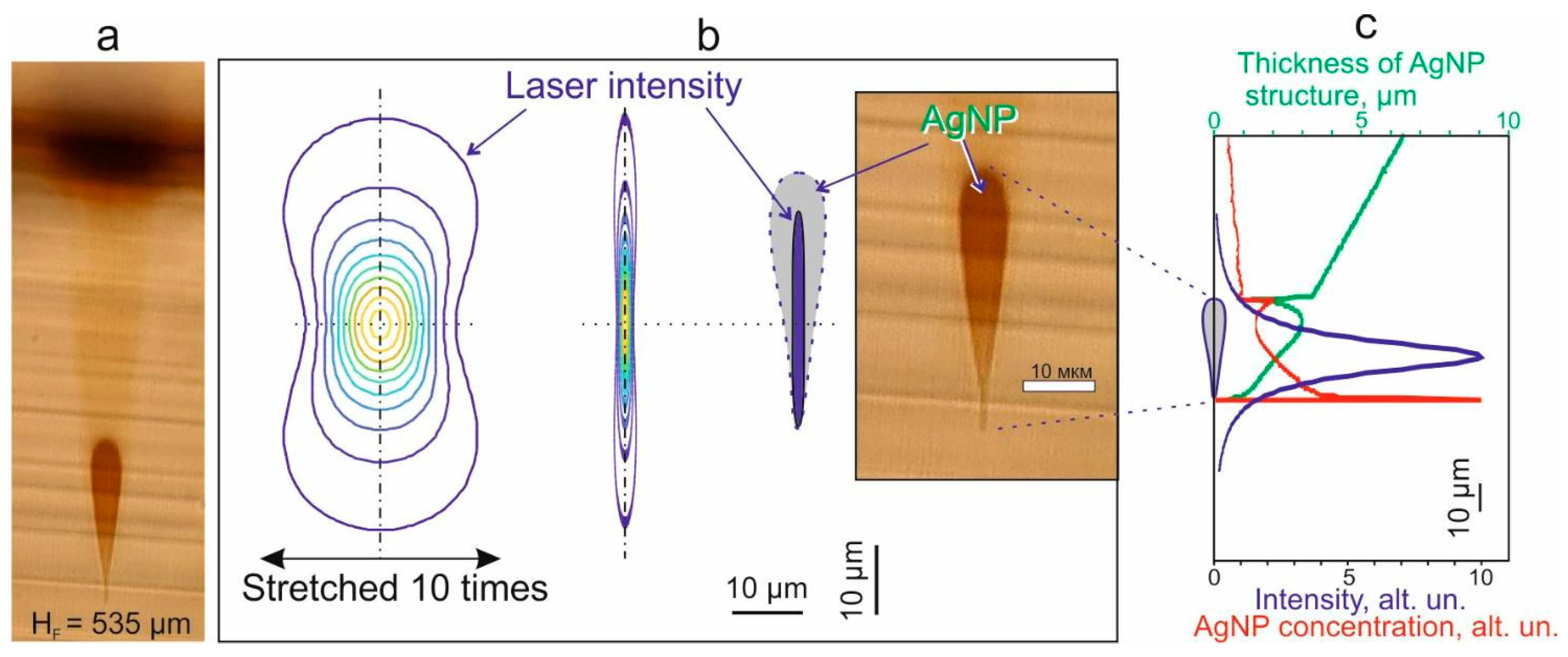 Photonics 10 01055 g008