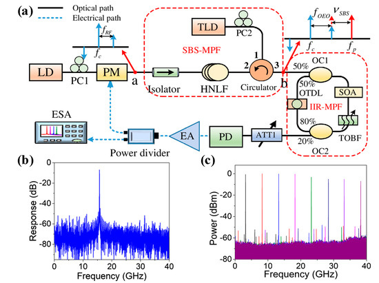Microwave Photonic Filters and Applications