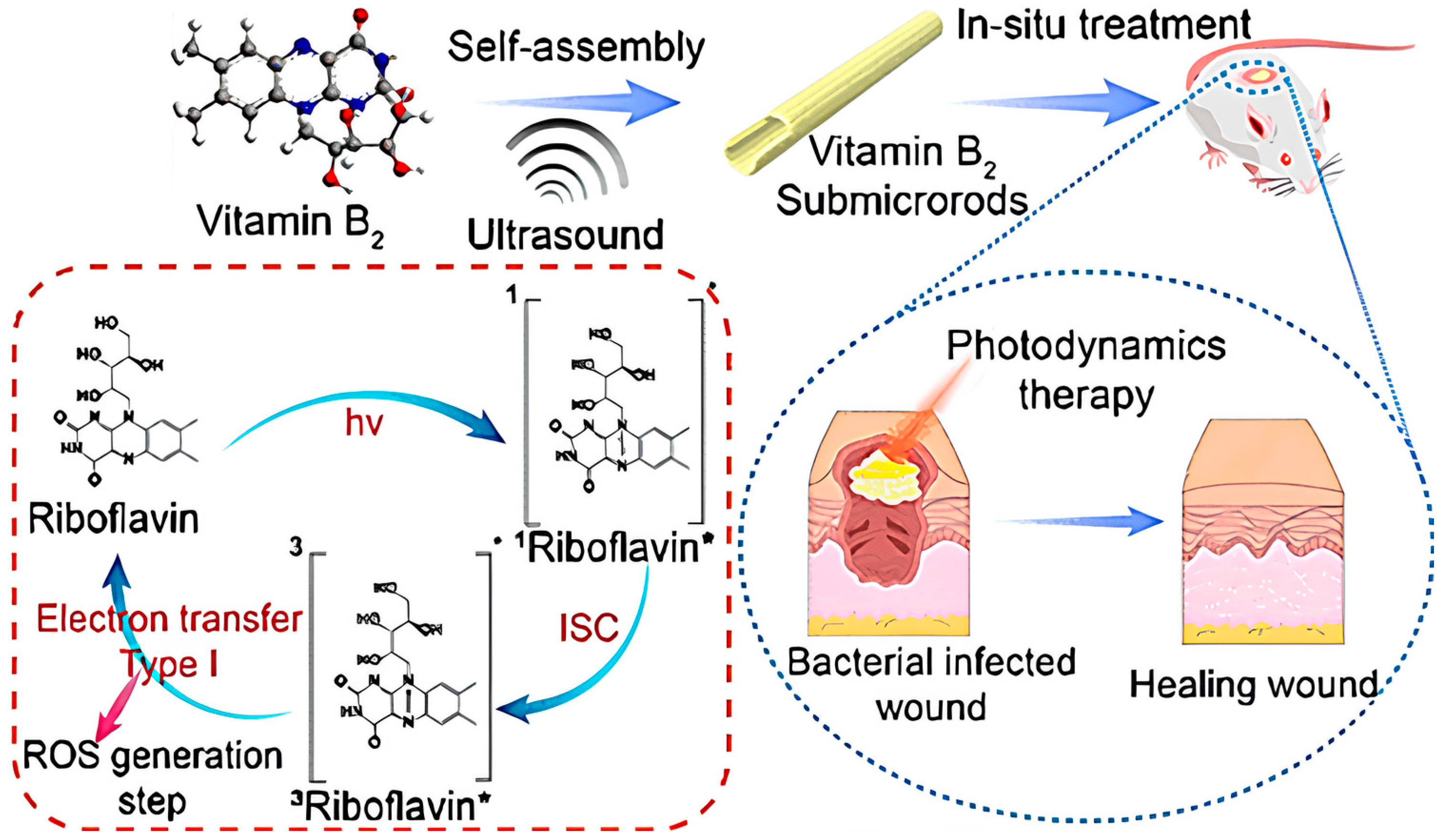 Photonics 10 01124 g002