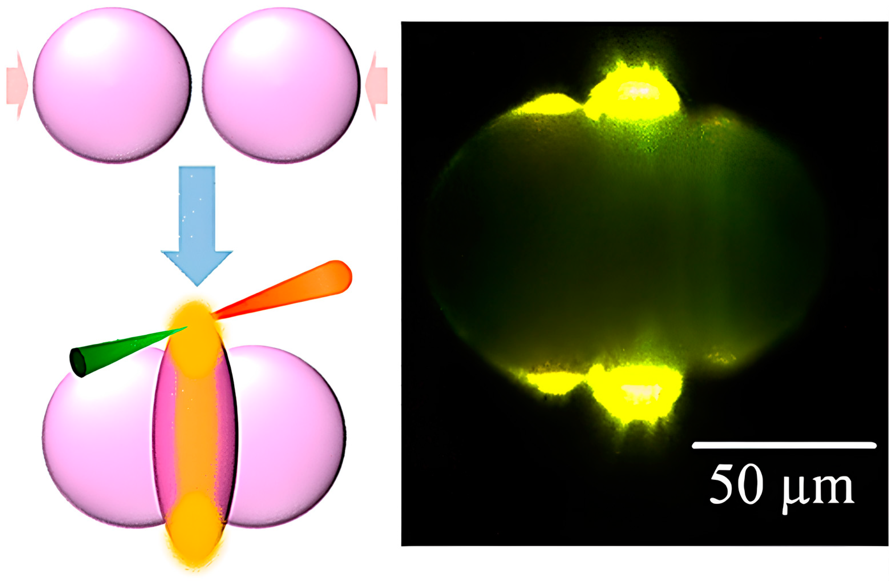 Photonics 10 01124 g003