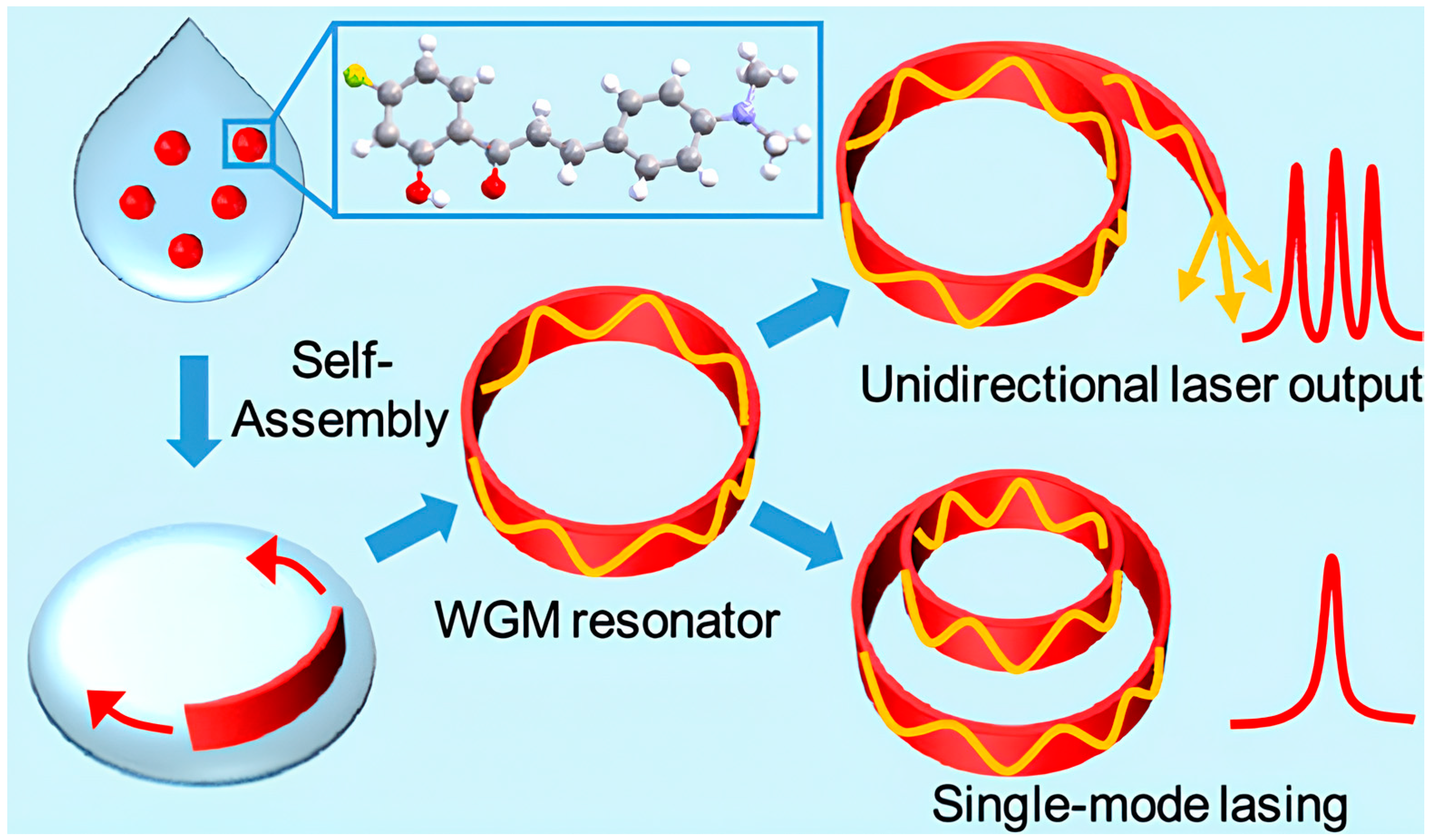 Photonics 10 01124 g005