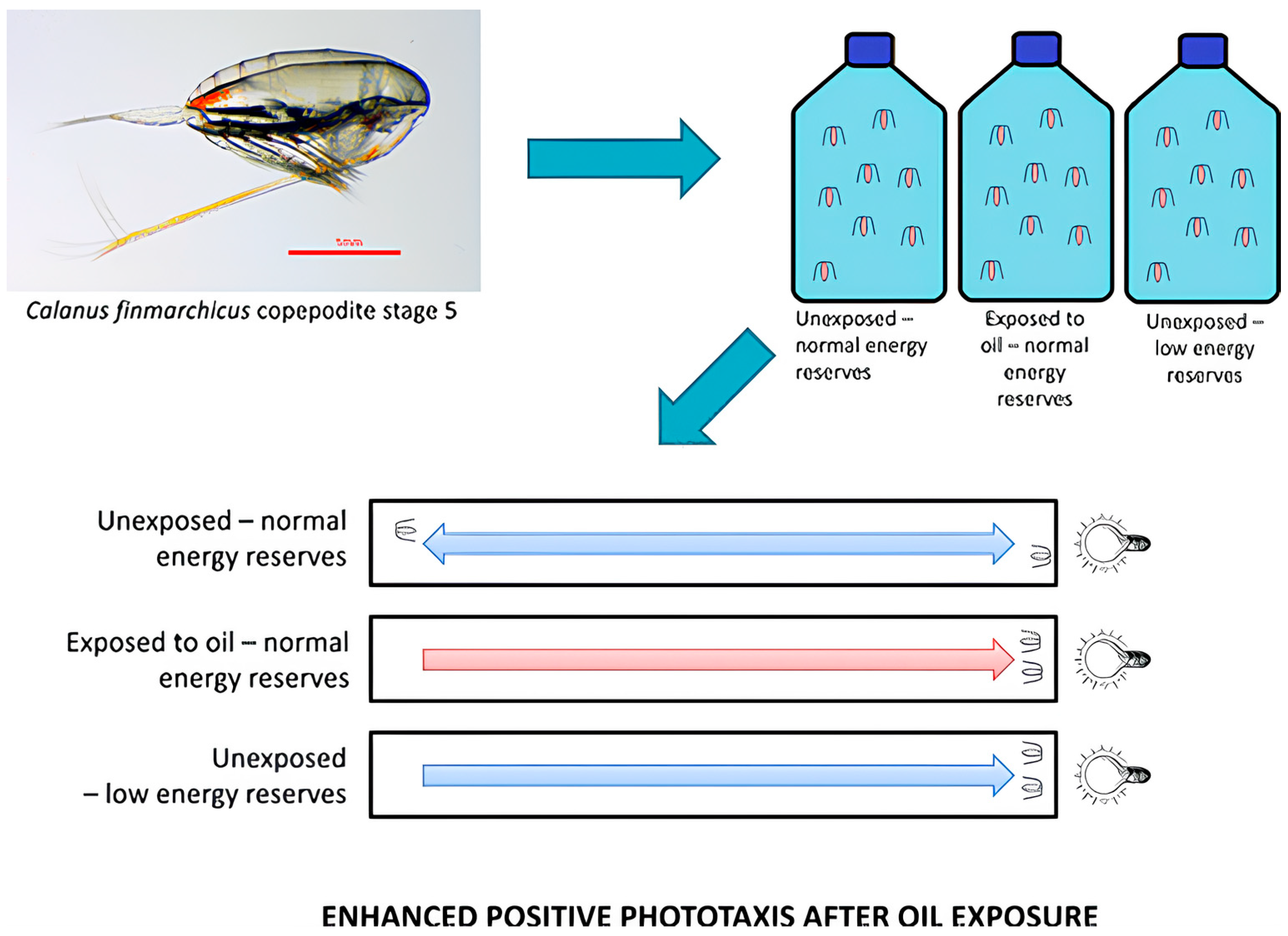 Photonics 10 01124 g006