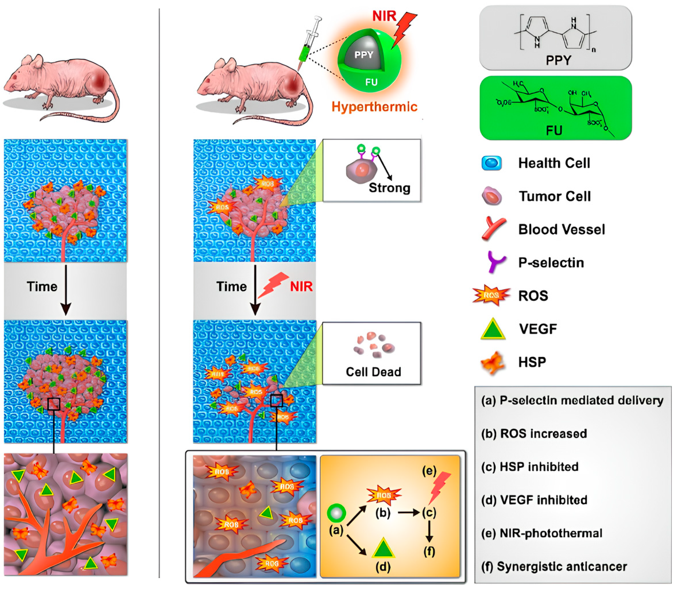 Photonics 10 01124 g007