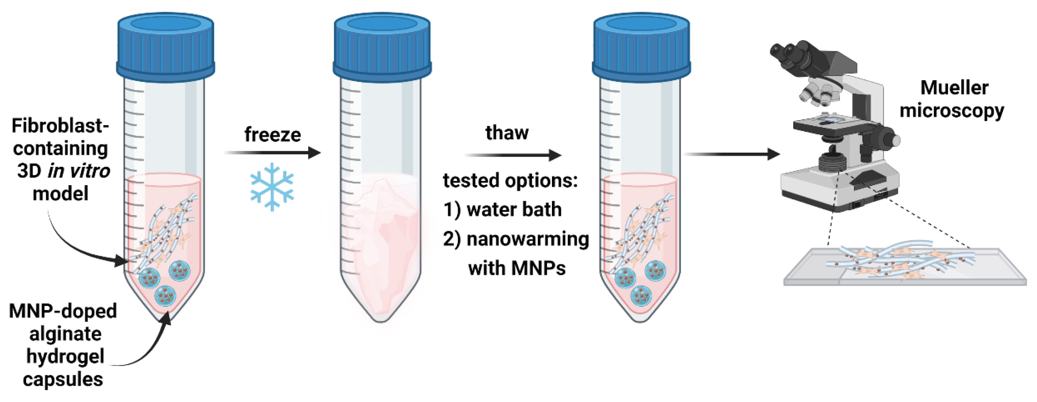 Photonics 10 01129 g001 Photonics 10 01129 g001