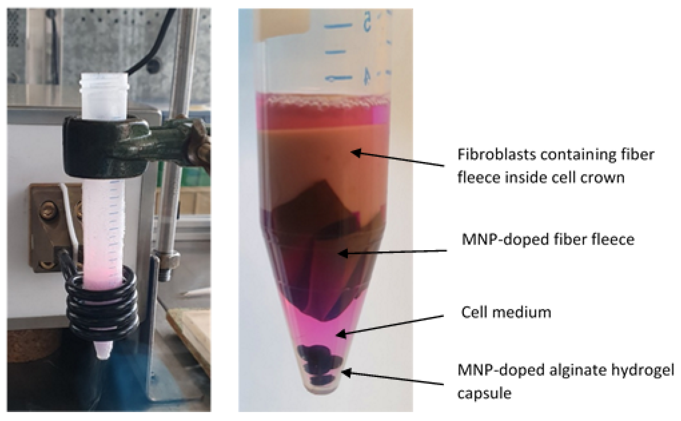 Photonics 10 01129 g002 Photonics 10 01129 g002