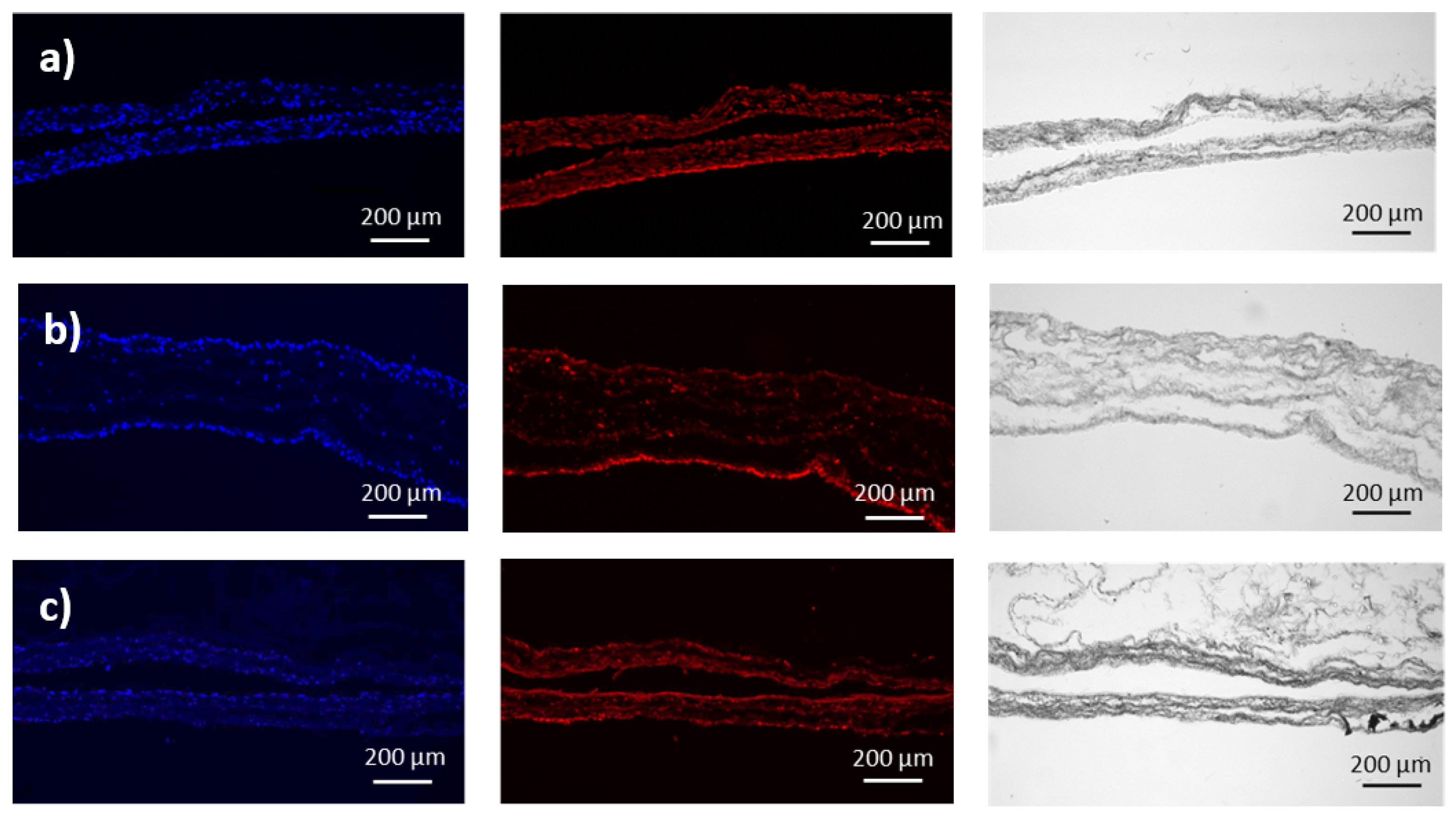 Photonics 10 01129 g004 Photonics 10 01129 g004