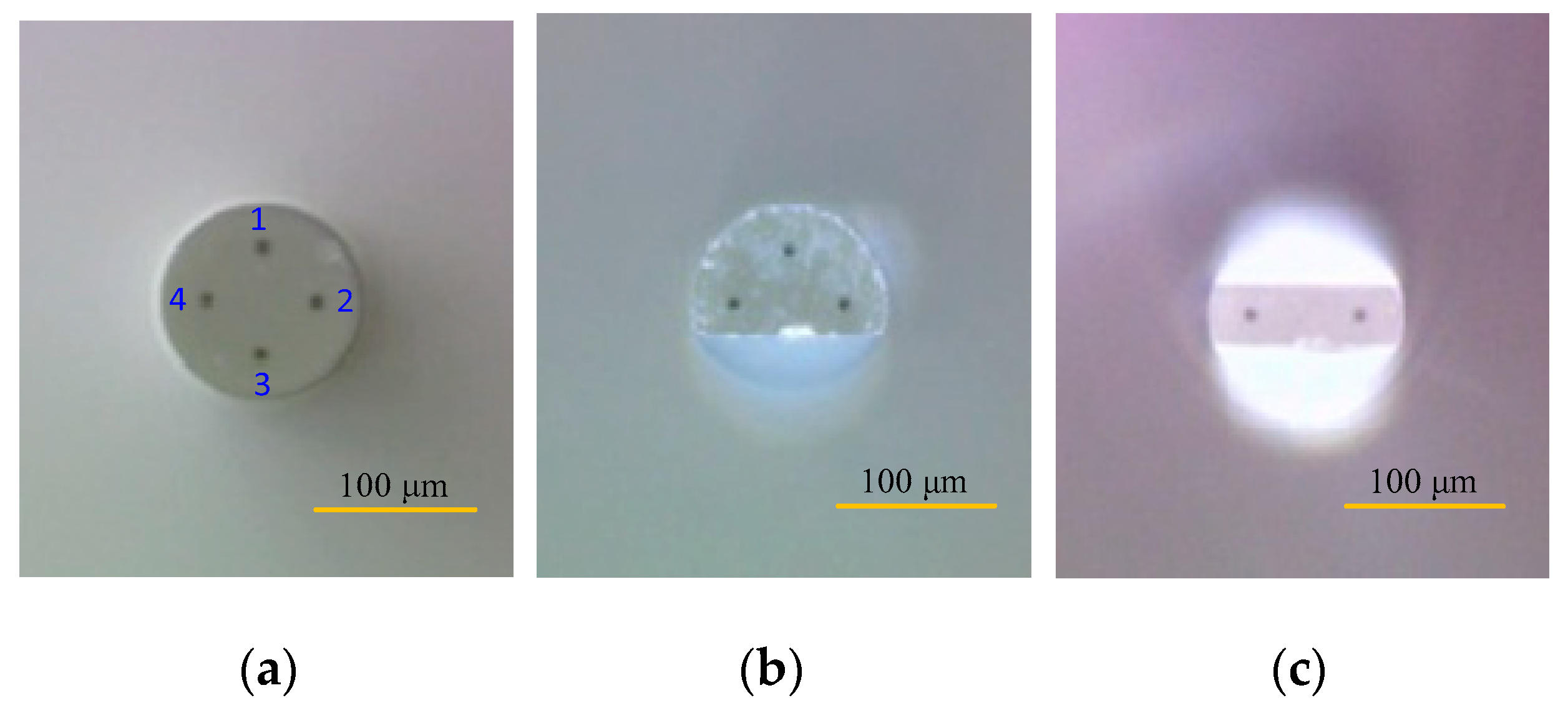 Photonics 10 01141 g001a