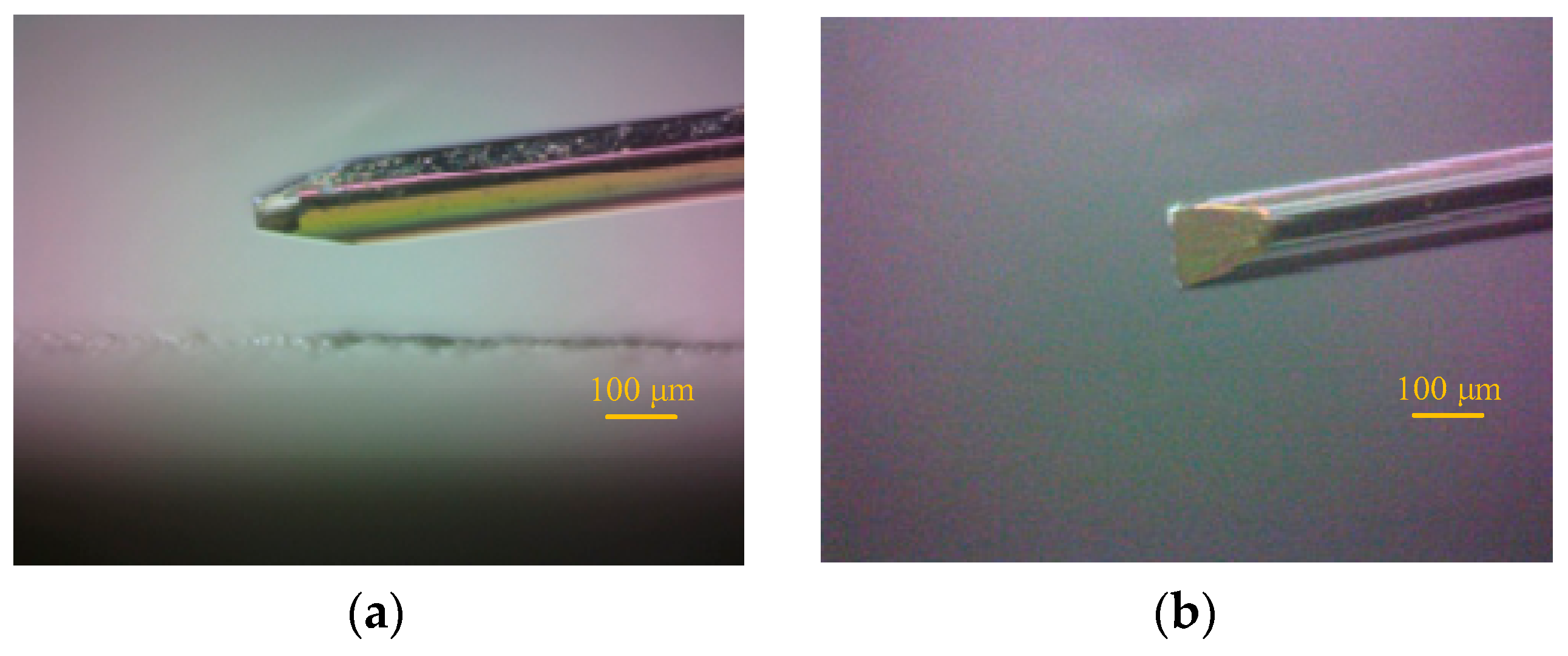 Photonics 10 01141 g002