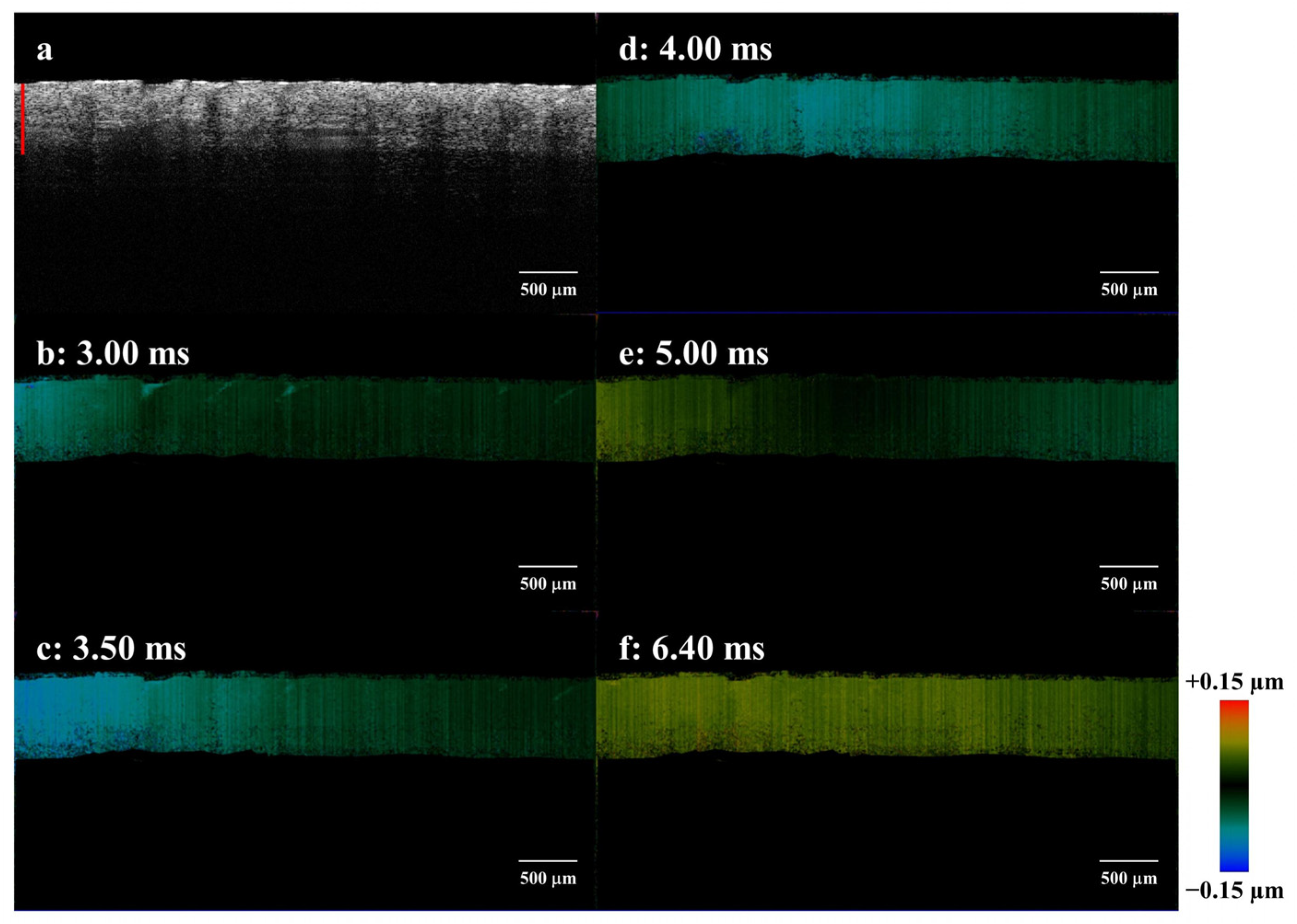 Photonics 10 01143 g006