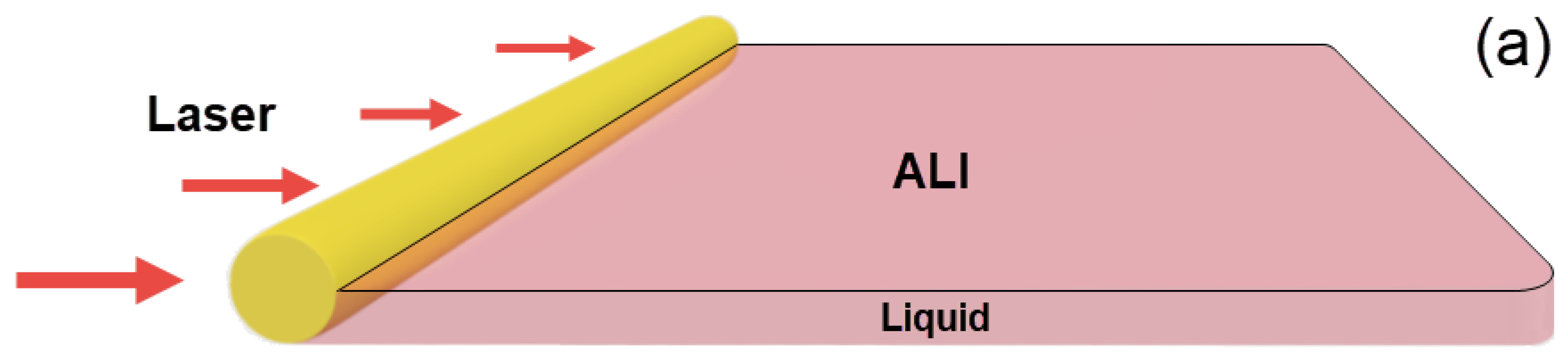 Photonics 10 01175 g001a