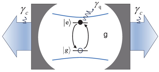 Dynamics Reflects Quantum Phase Transition of Rabi Model