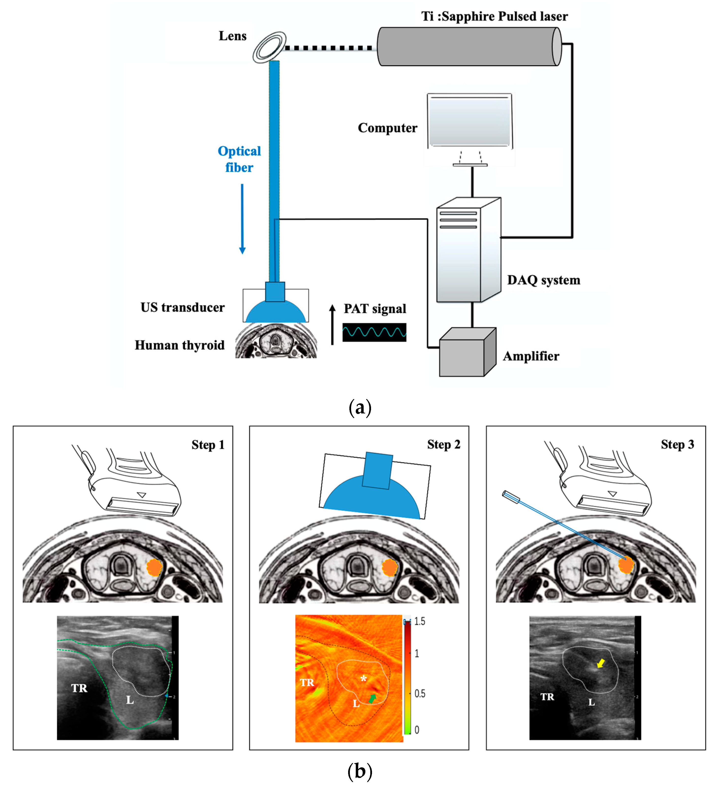 Photonics 10 01190 g001 Photonics 10 01190 g001