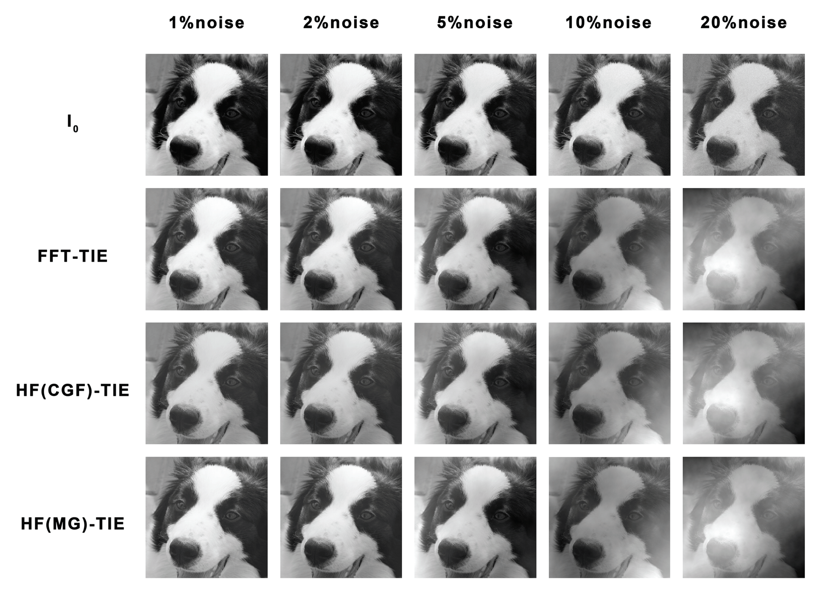 Photonics 10 01204 g006