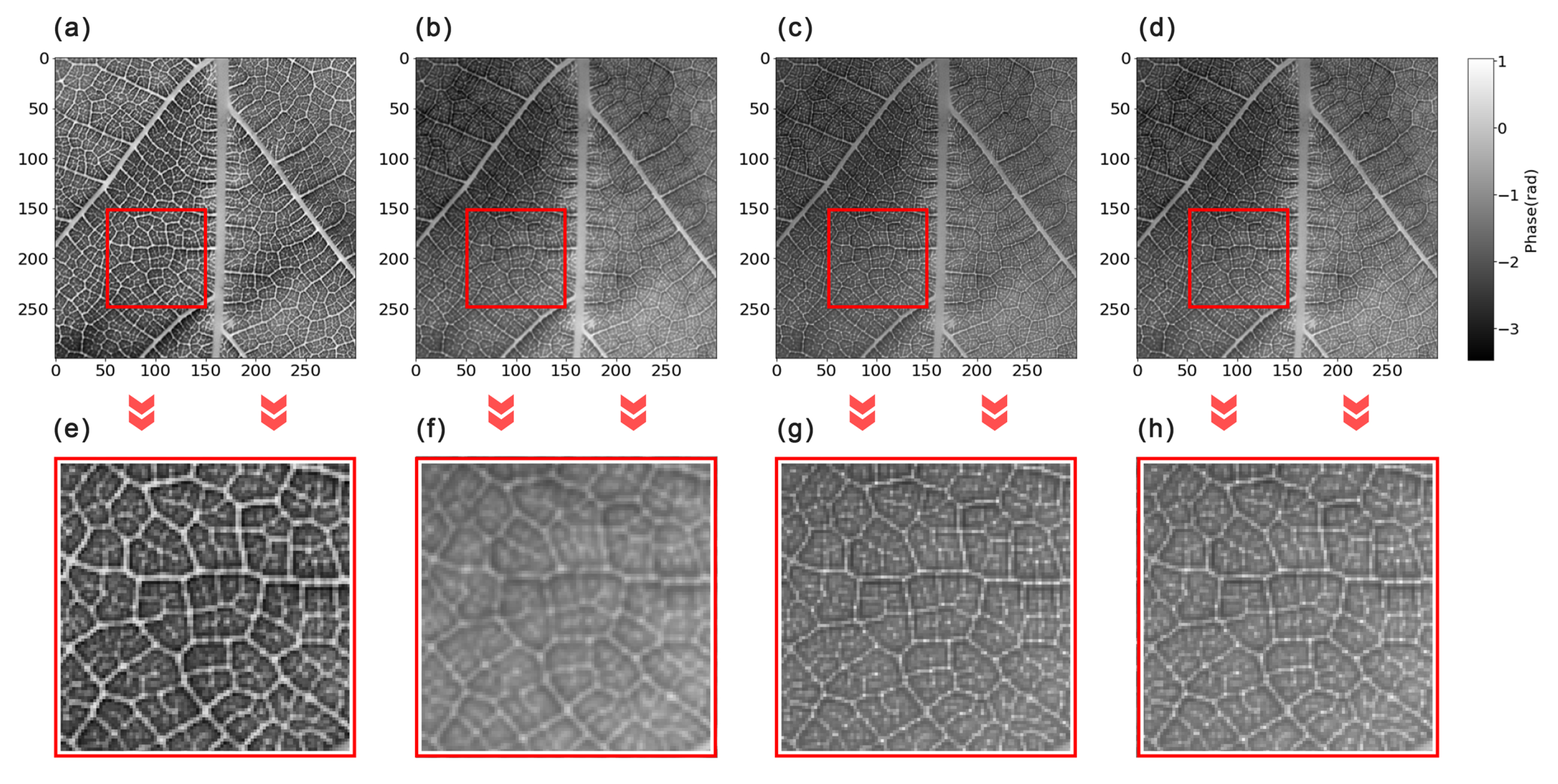 Photonics 10 01204 g0a1