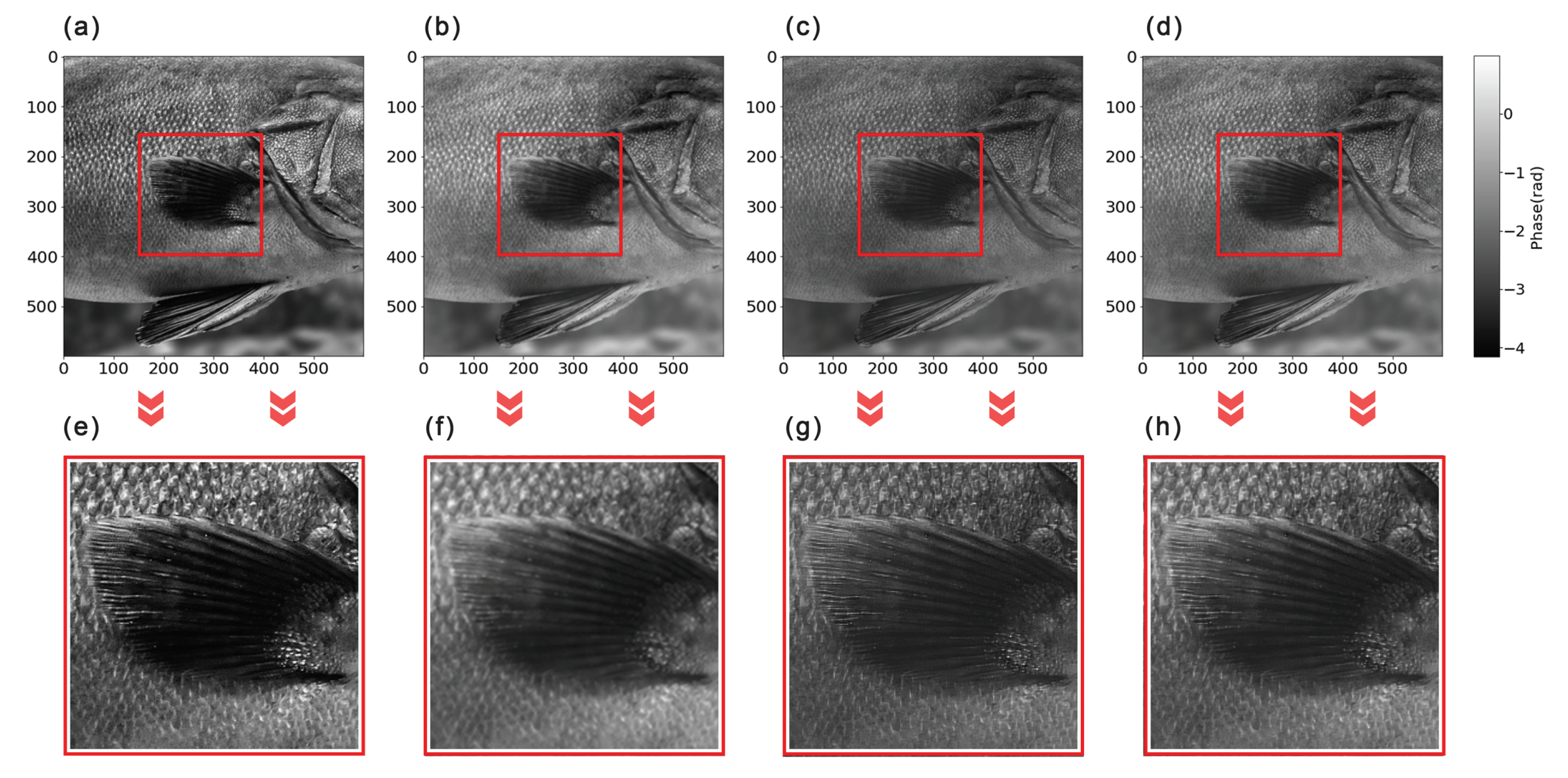 Photonics 10 01204 g0a2