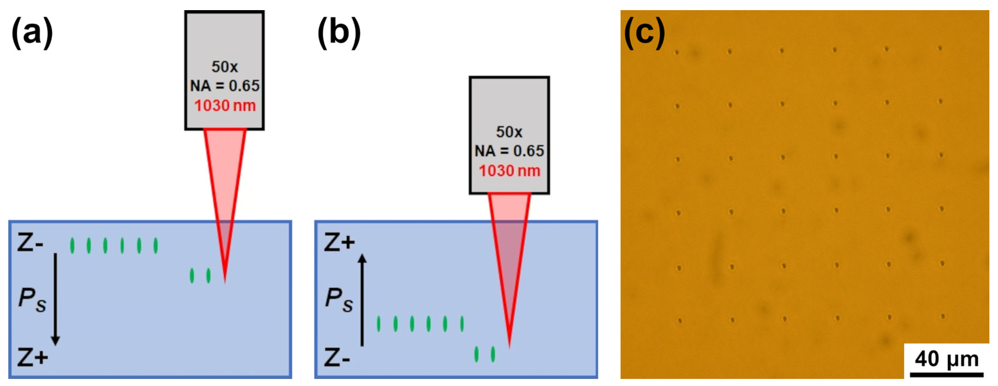 Photonics 10 01211 g001