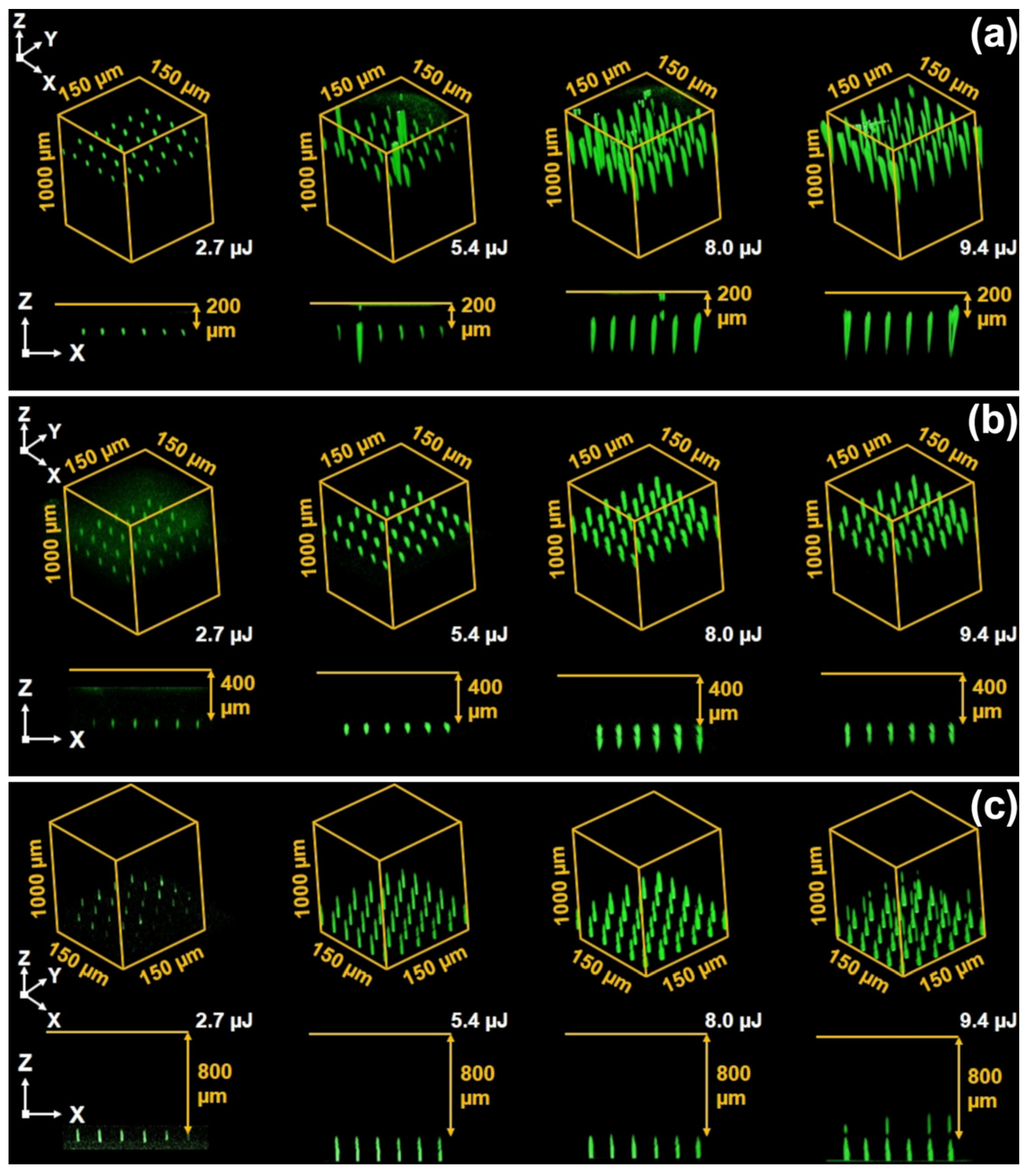Photonics 10 01211 g002