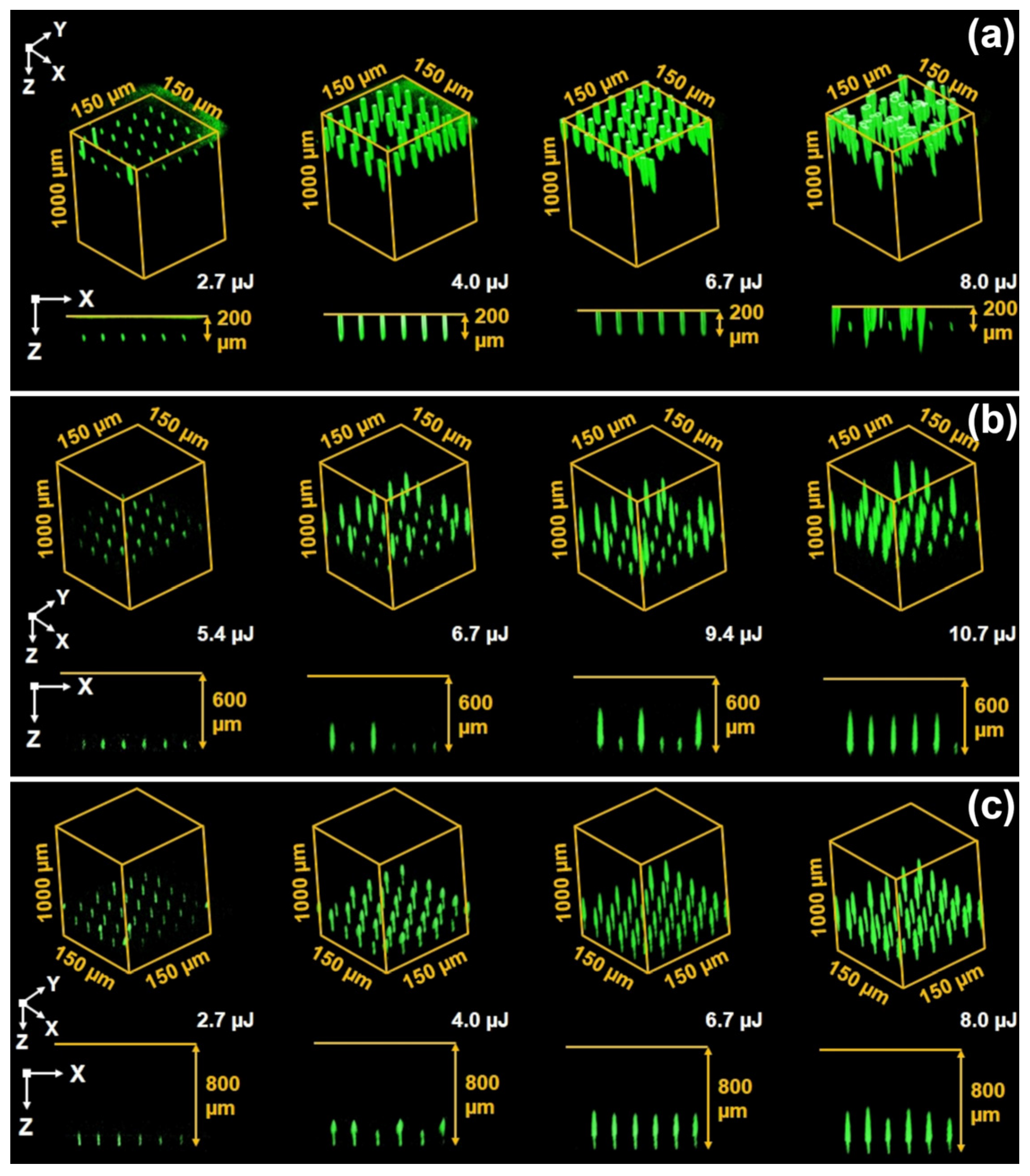 Photonics 10 01211 g003