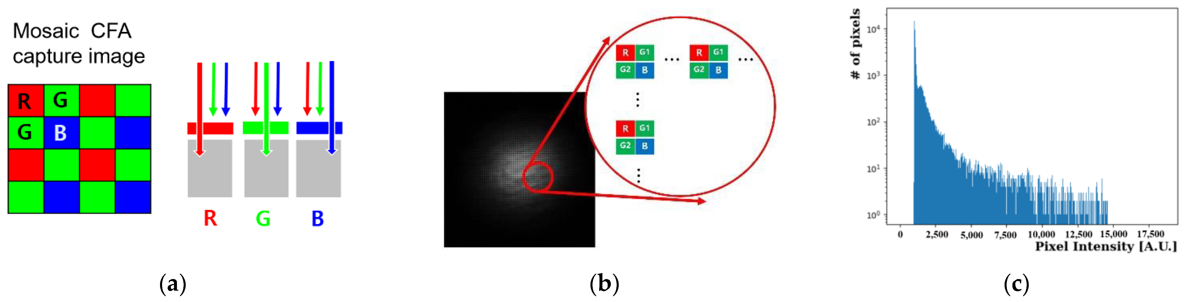 Photonics 10 01216 g003