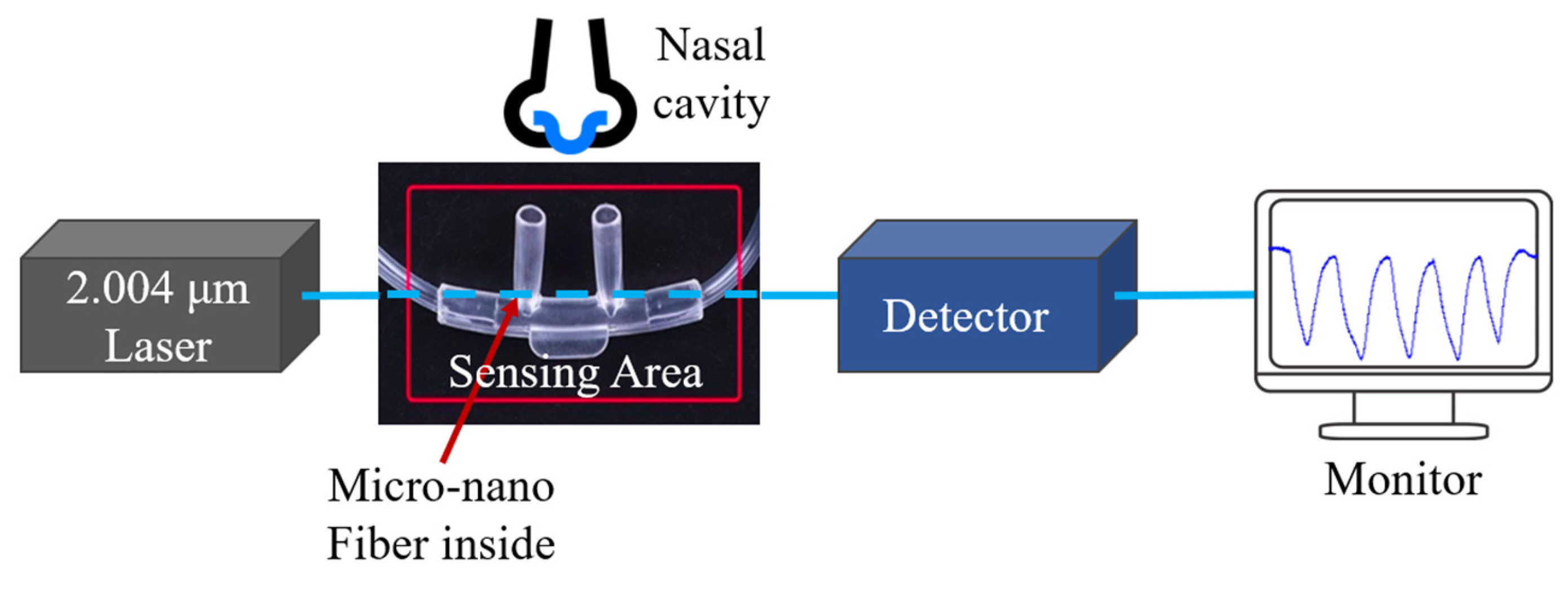 Photonics 10 01231 g006