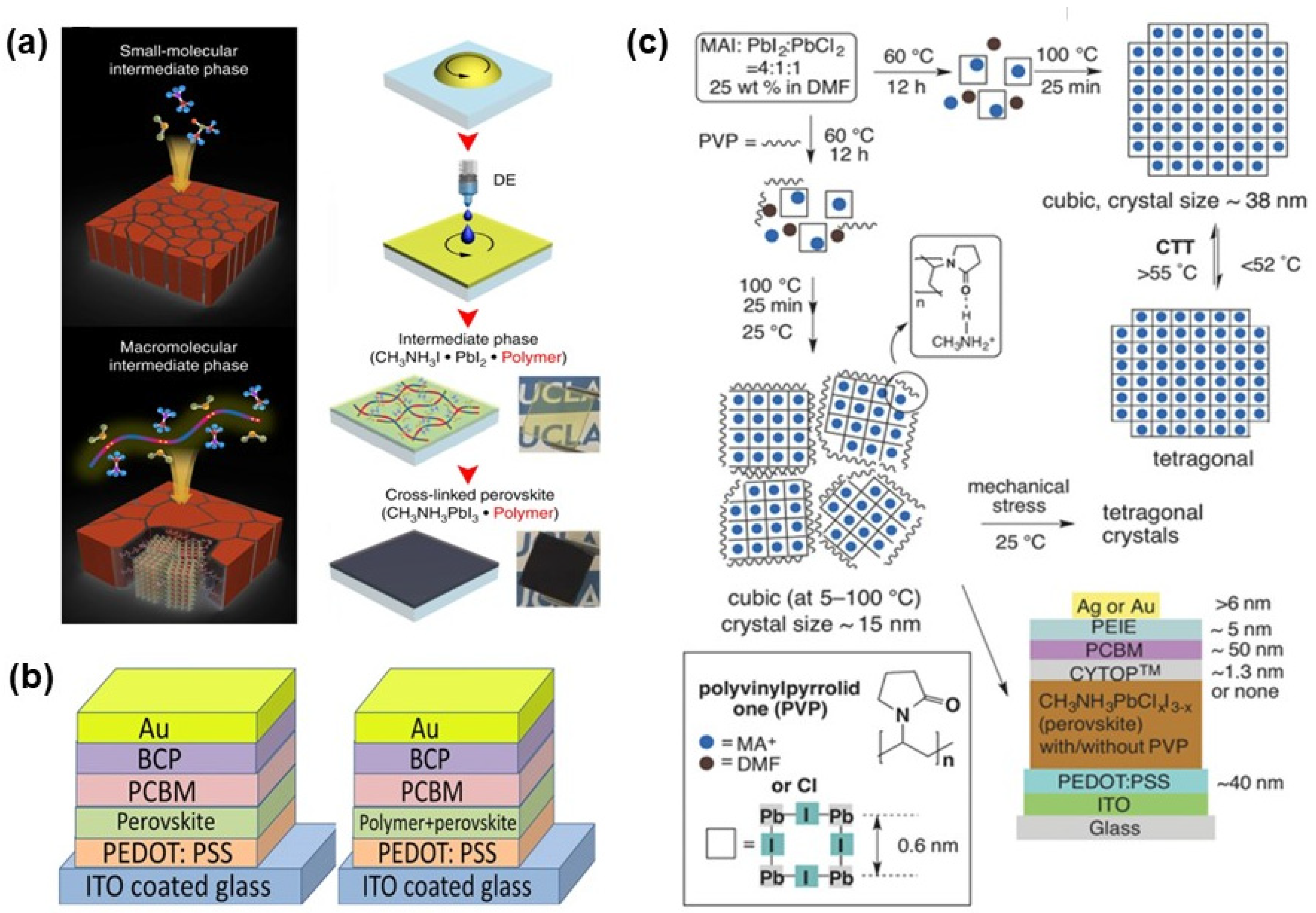 Photonics 10 01242 g006