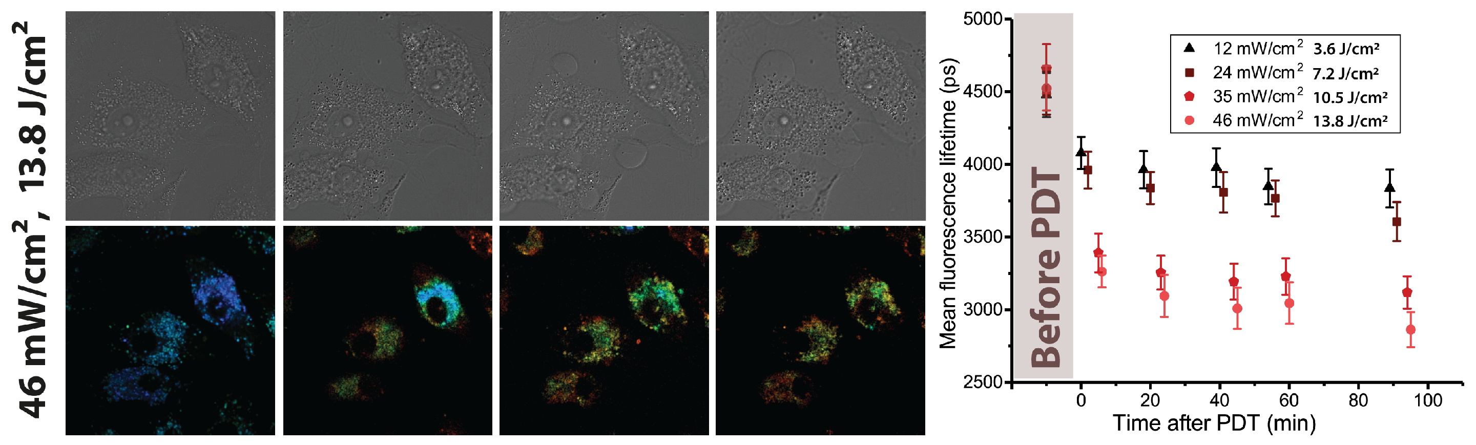 Photonics 10 01262 g003
