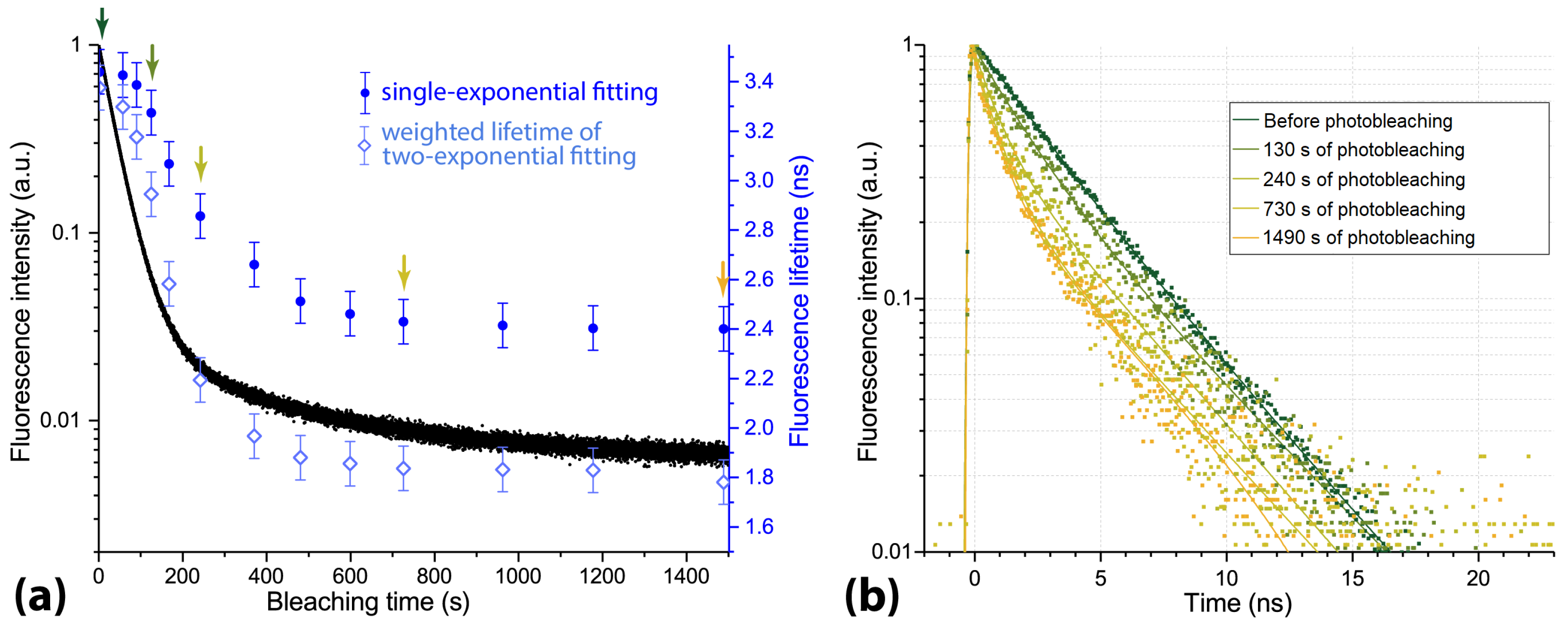 Photonics 10 01262 g005
