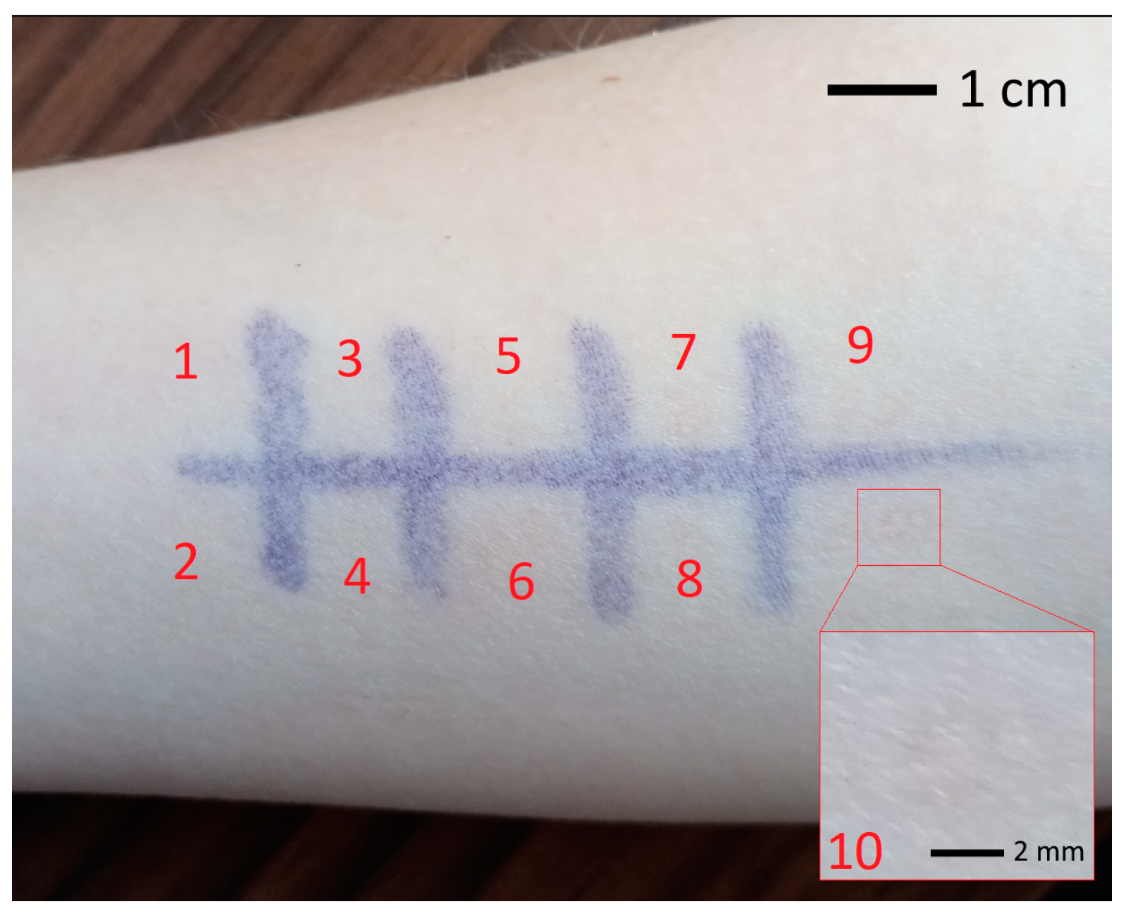 Photonics 10 01289 g006