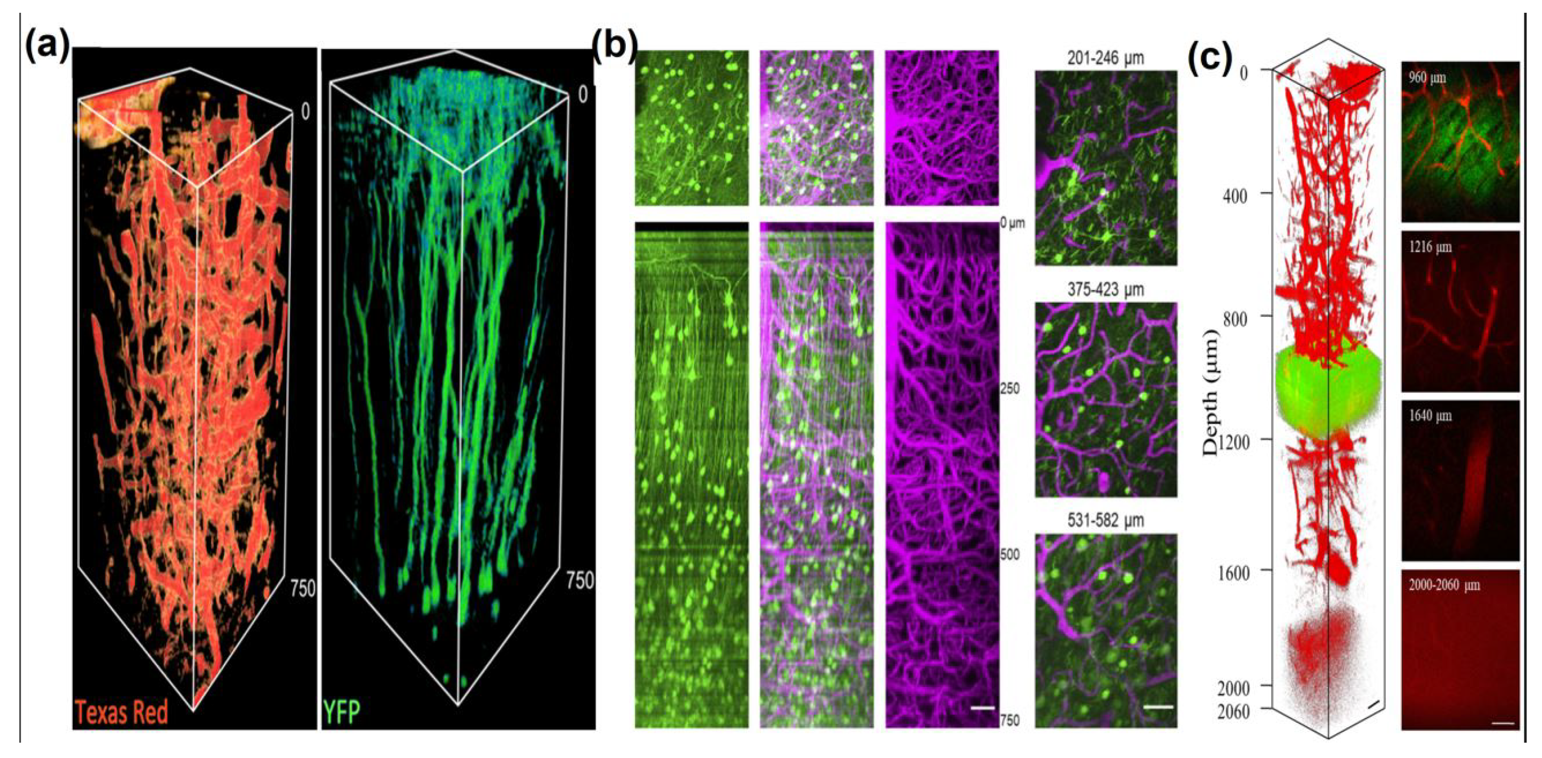 Photonics 10 01307 g008