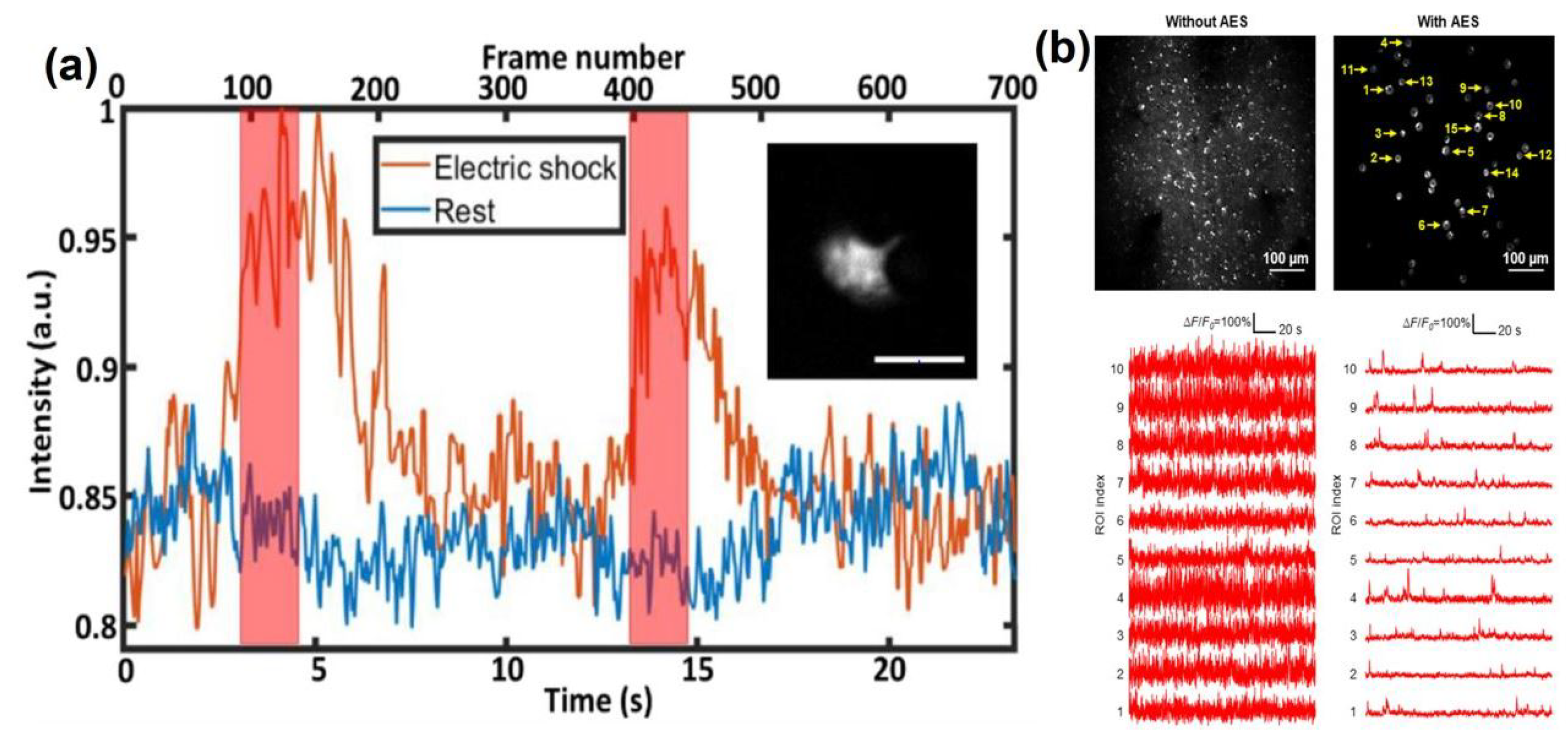 Photonics 10 01307 g009