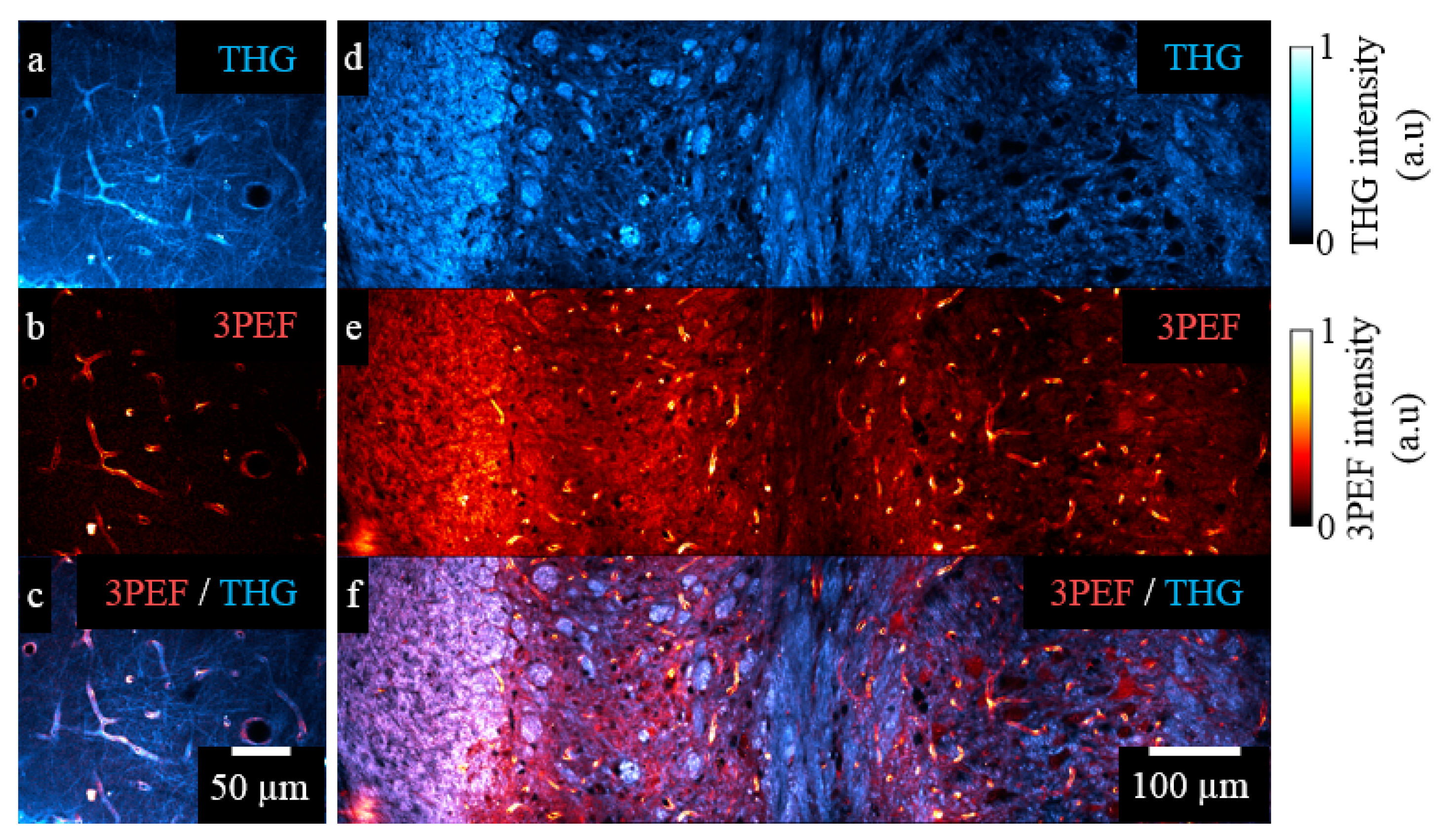 Photonics 10 01307 g011