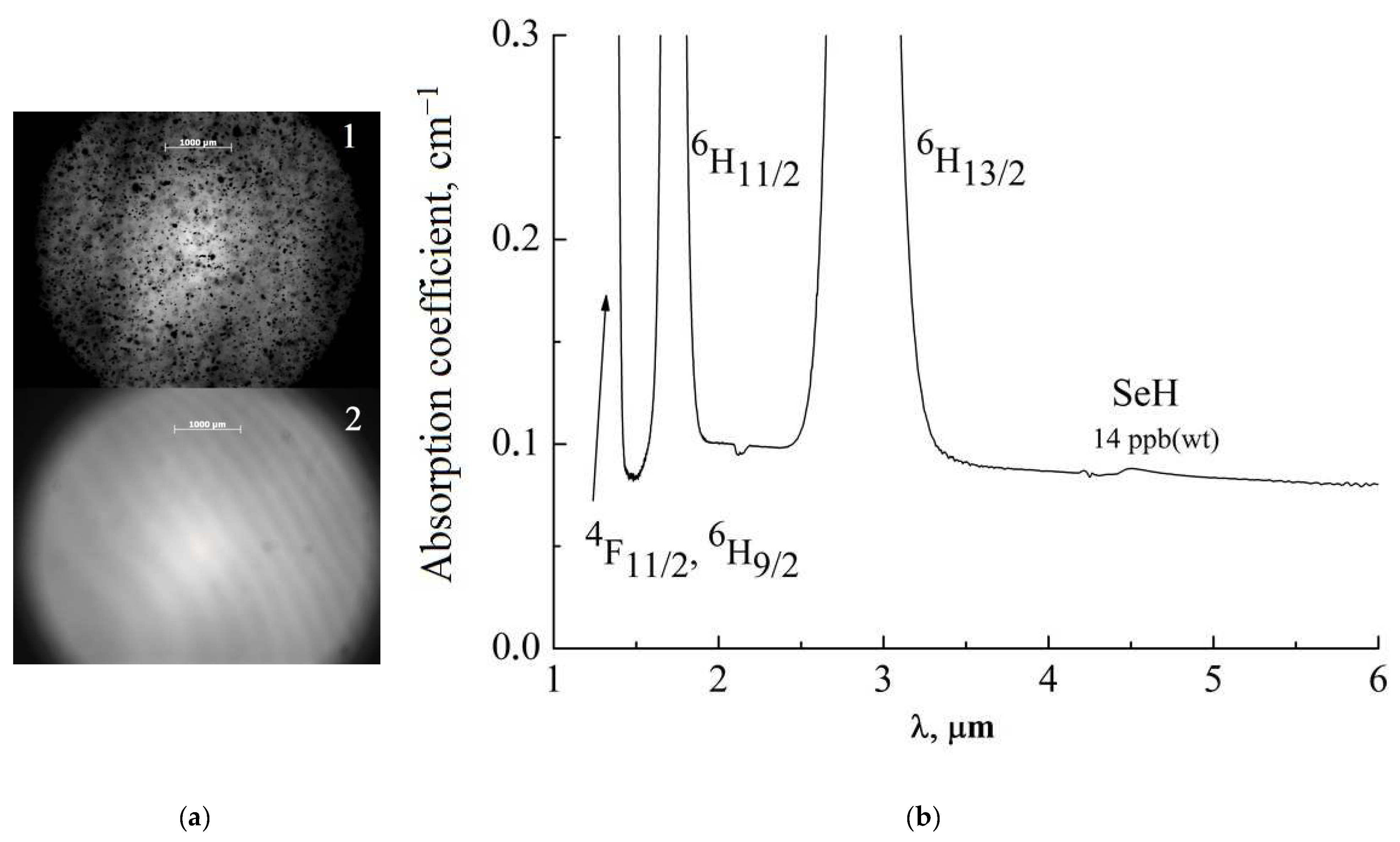 Photonics 10 01323 g001