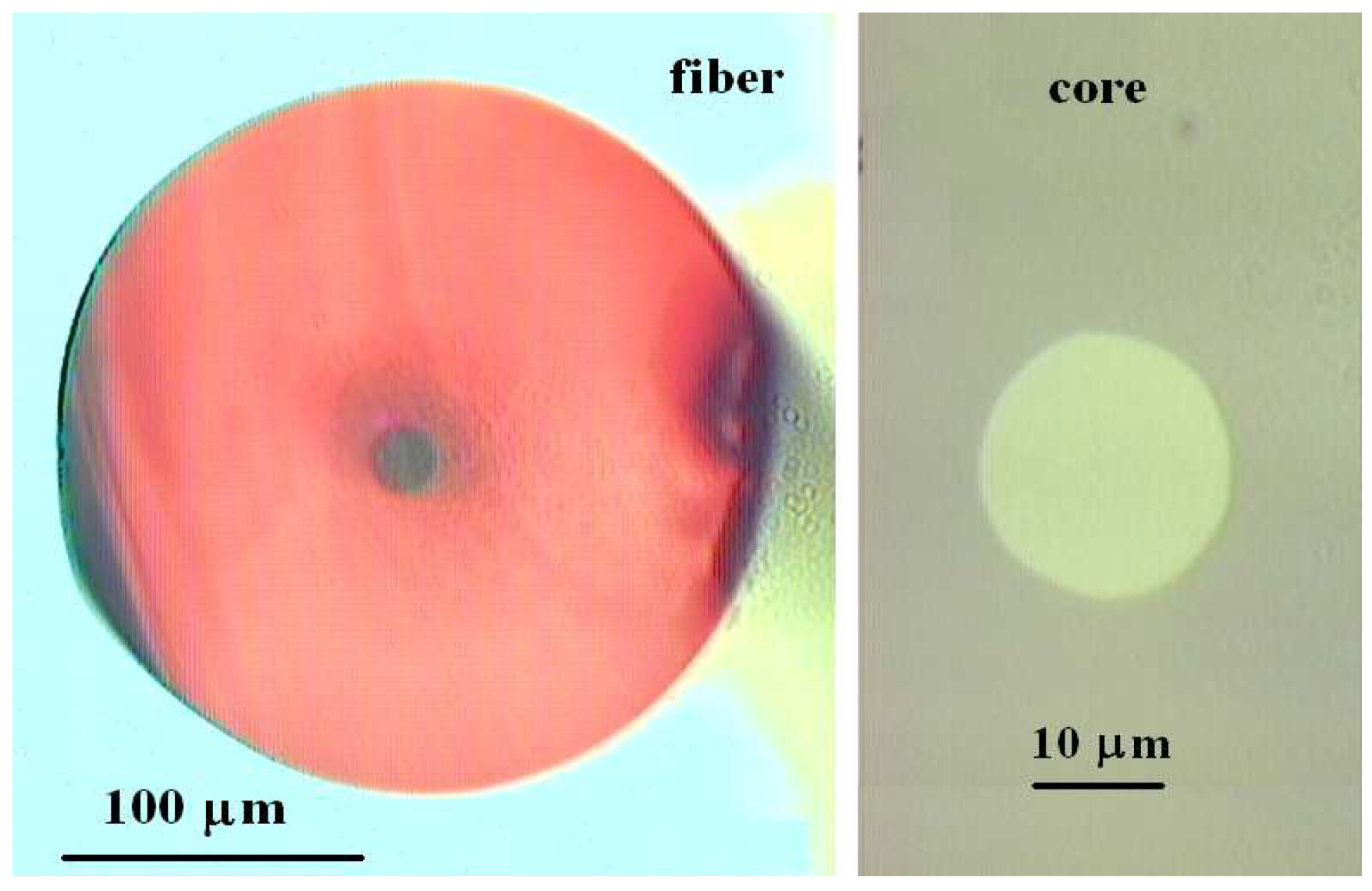 Photonics 10 01323 g013