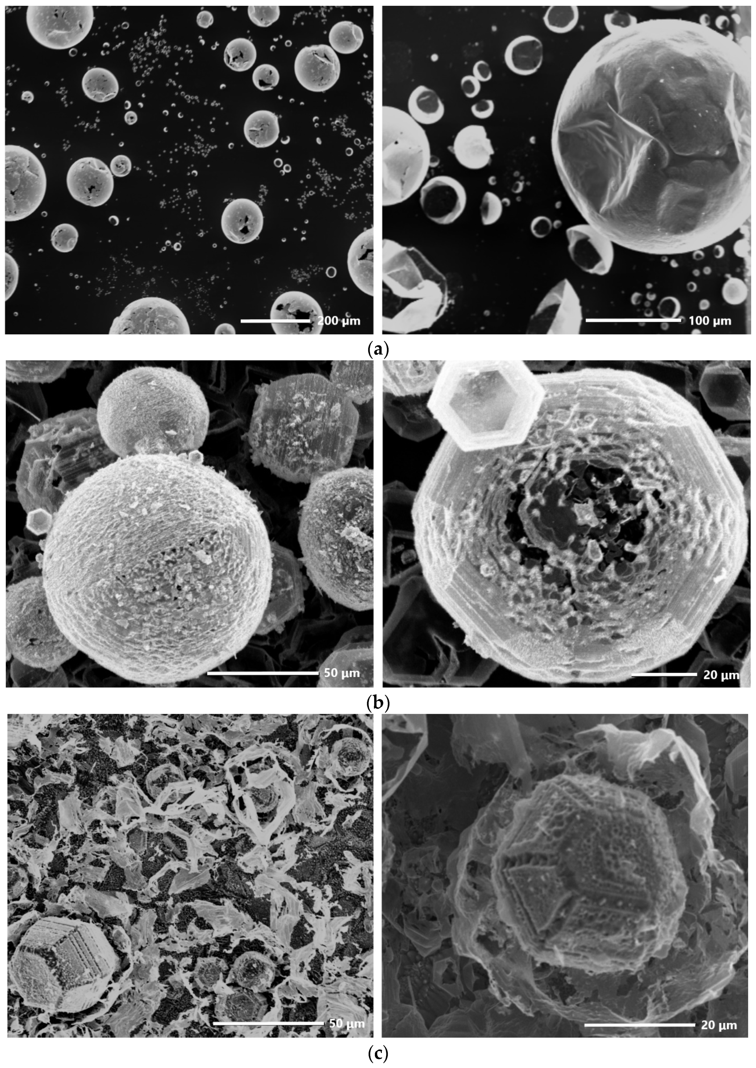 ai The Growth Mechanism, Luminescence, and Lasing of Polyhedral
